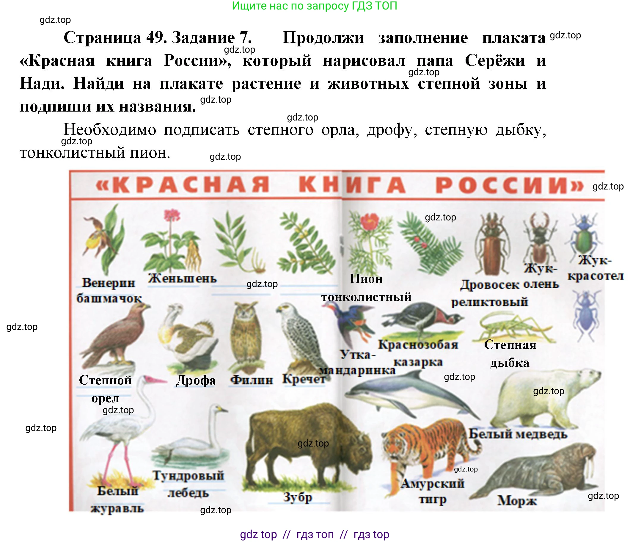 Окружающий мир, 4 класс рабочая тетрадь, авторы: Плешаков Андрей Анатольевич, Крючкова Елена Алексеевна, издательство Просвещение, Москва, 2023, белого цвета, Часть 1, страница 49, номер 7, Решение 2