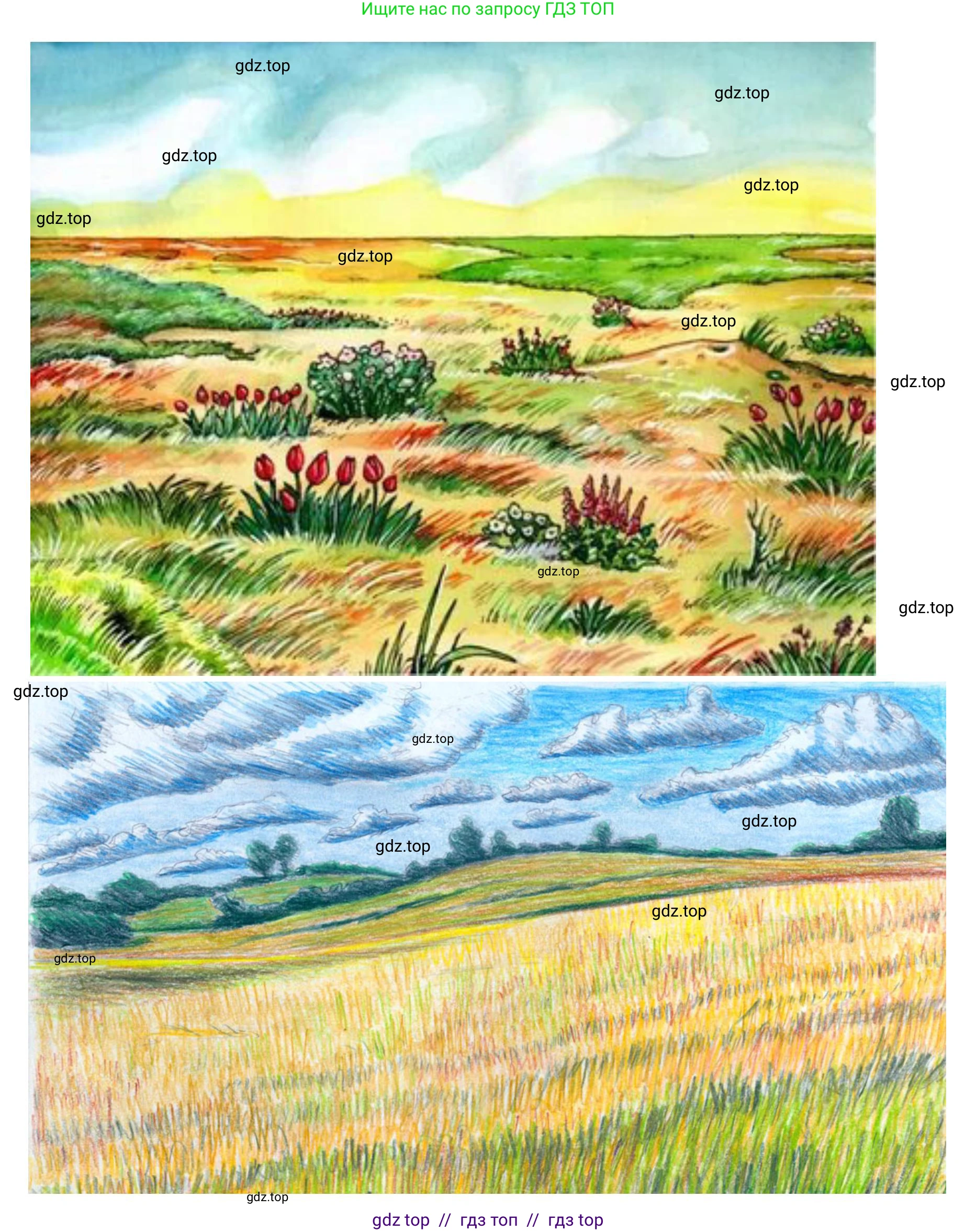 Окружающий мир, 4 класс рабочая тетрадь, авторы: Плешаков Андрей Анатольевич, Крючкова Елена Алексеевна, издательство Просвещение, Москва, 2023, белого цвета, Часть 1, страница 50, номер 8, Решение 2 (продолжение 3)