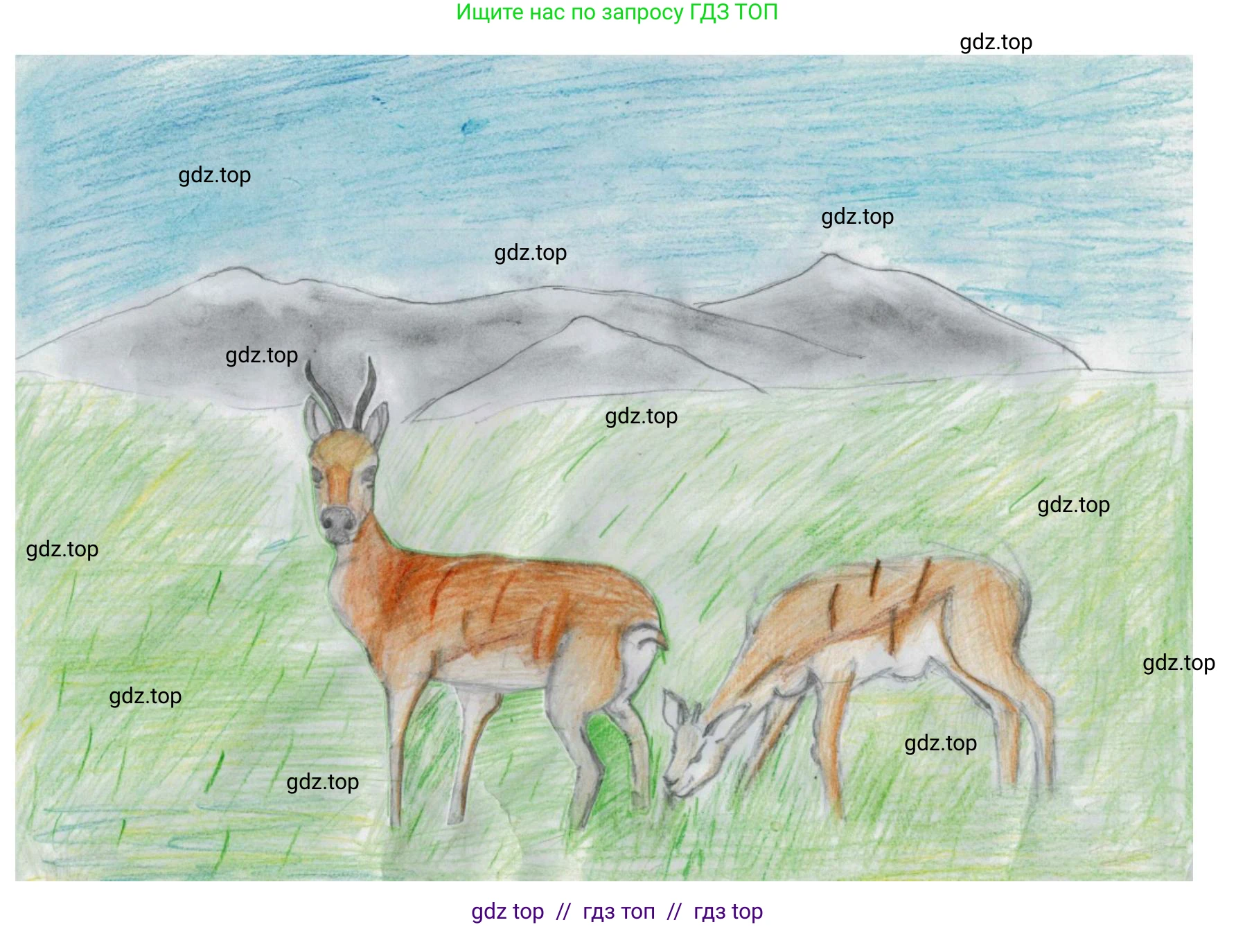 Окружающий мир, 4 класс рабочая тетрадь, авторы: Плешаков Андрей Анатольевич, Крючкова Елена Алексеевна, издательство Просвещение, Москва, 2023, белого цвета, Часть 1, страница 50, номер 8, Решение 2 (продолжение 4)