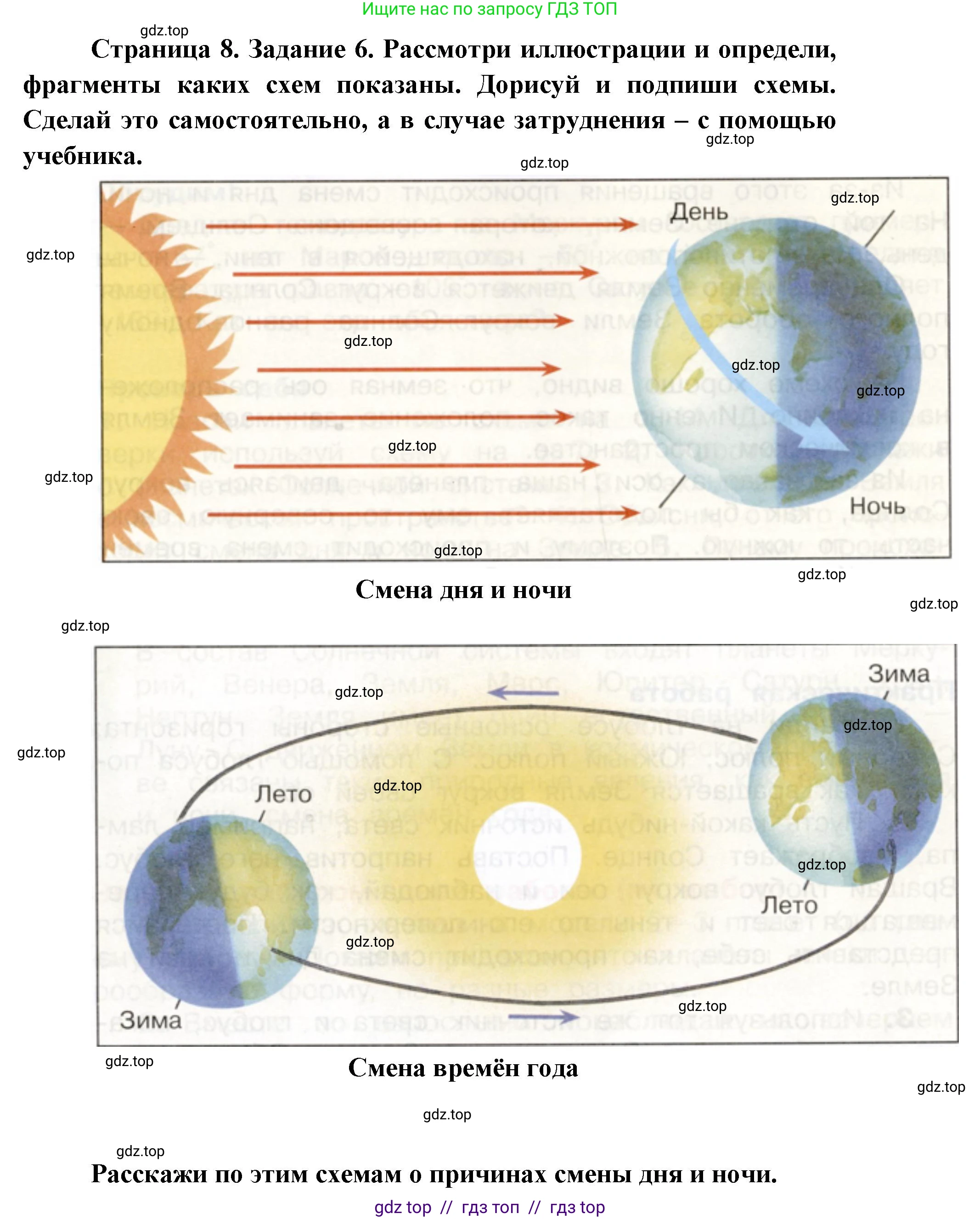 Окружающий мир, 4 класс рабочая тетрадь, авторы: Плешаков Андрей Анатольевич, Крючкова Елена Алексеевна, издательство Просвещение, Москва, 2023, белого цвета, Часть 1, страница 8, номер 6, Решение 2