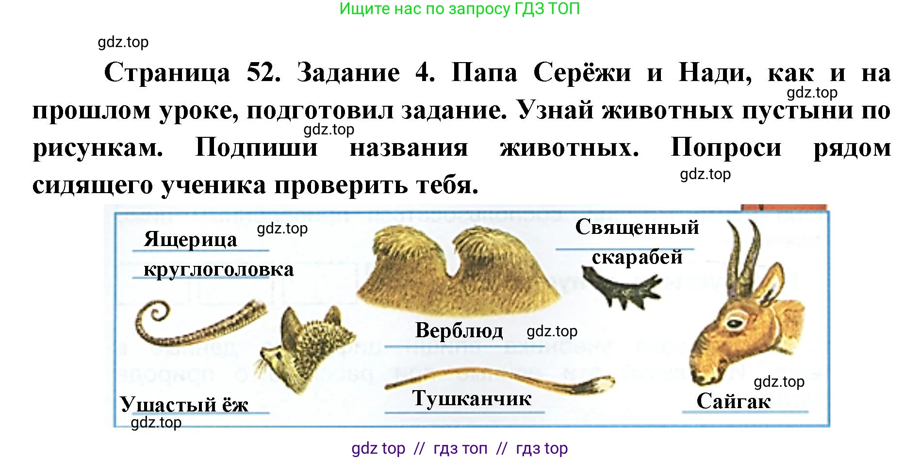 Окружающий мир, 4 класс рабочая тетрадь, авторы: Плешаков Андрей Анатольевич, Крючкова Елена Алексеевна, издательство Просвещение, Москва, 2023, белого цвета, Часть 1, страница 52, номер 4, Решение 2