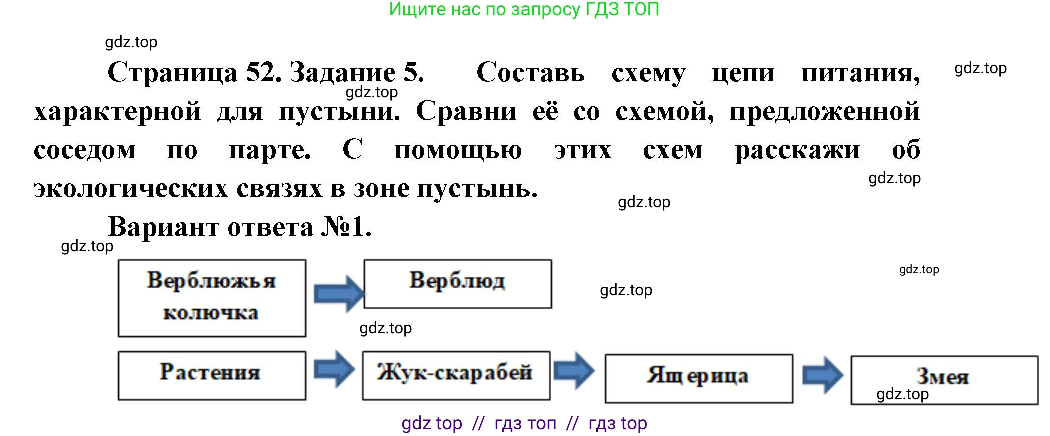 Окружающий мир, 4 класс рабочая тетрадь, авторы: Плешаков Андрей Анатольевич, Крючкова Елена Алексеевна, издательство Просвещение, Москва, 2023, белого цвета, Часть 1, страница 52, номер 5, Решение 2