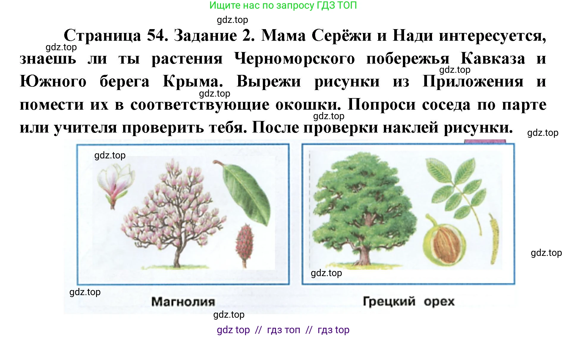 Окружающий мир, 4 класс рабочая тетрадь, авторы: Плешаков Андрей Анатольевич, Крючкова Елена Алексеевна, издательство Просвещение, Москва, 2023, белого цвета, Часть 1, страница 54, номер 2, Решение 2