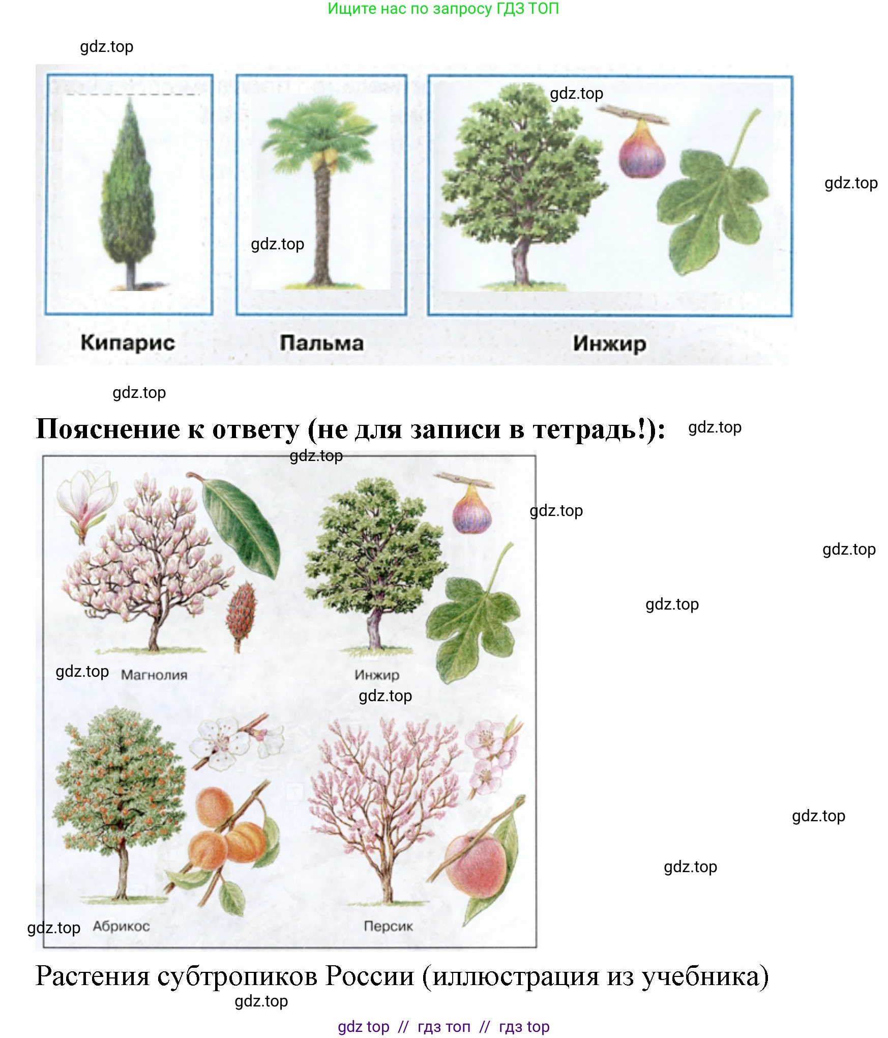 Окружающий мир, 4 класс рабочая тетрадь, авторы: Плешаков Андрей Анатольевич, Крючкова Елена Алексеевна, издательство Просвещение, Москва, 2023, белого цвета, Часть 1, страница 54, номер 2, Решение 2 (продолжение 2)