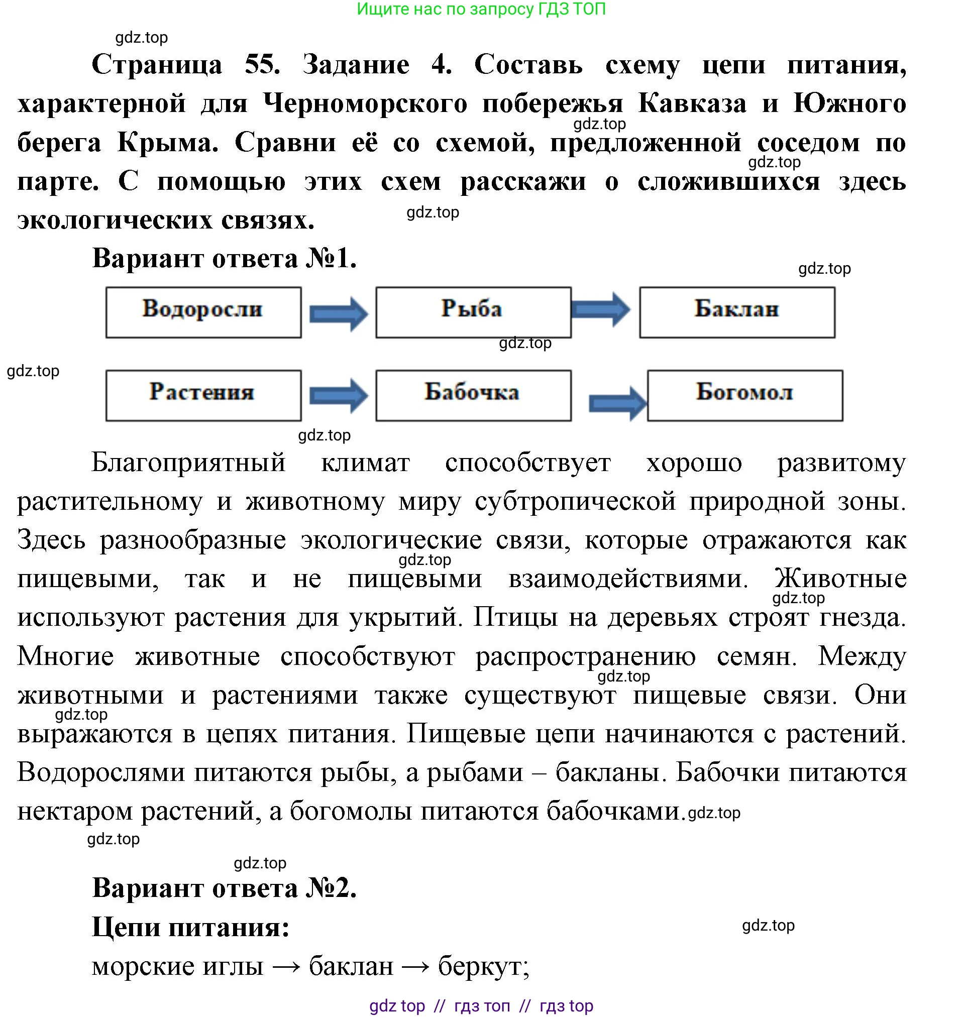 Окружающий мир, 4 класс рабочая тетрадь, авторы: Плешаков Андрей Анатольевич, Крючкова Елена Алексеевна, издательство Просвещение, Москва, 2023, белого цвета, Часть 1, страница 55, номер 4, Решение 2