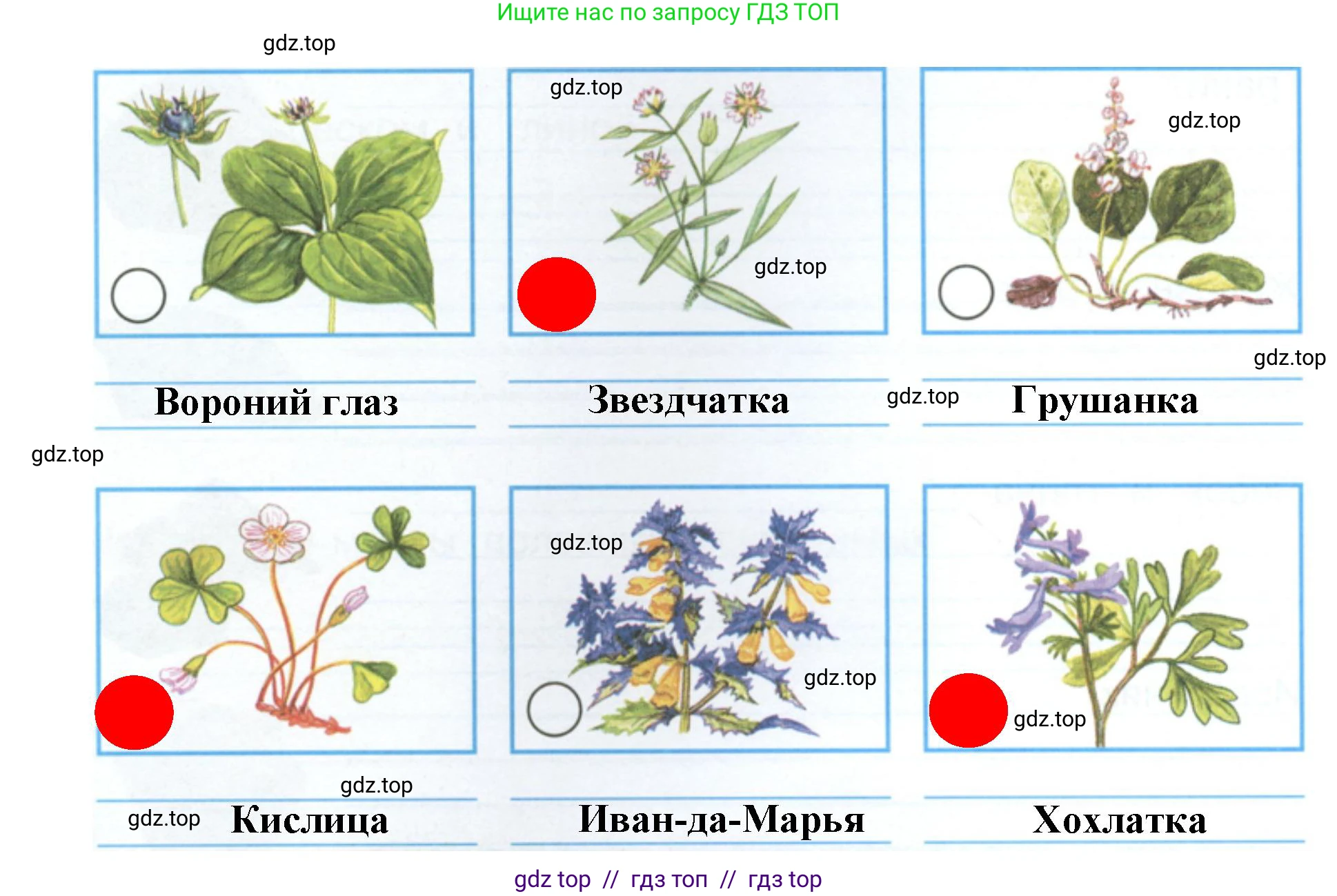 Окружающий мир, 4 класс рабочая тетрадь, авторы: Плешаков Андрей Анатольевич, Крючкова Елена Алексеевна, издательство Просвещение, Москва, 2023, белого цвета, Часть 1, страница 68, номер 2, Решение 2 (продолжение 2)