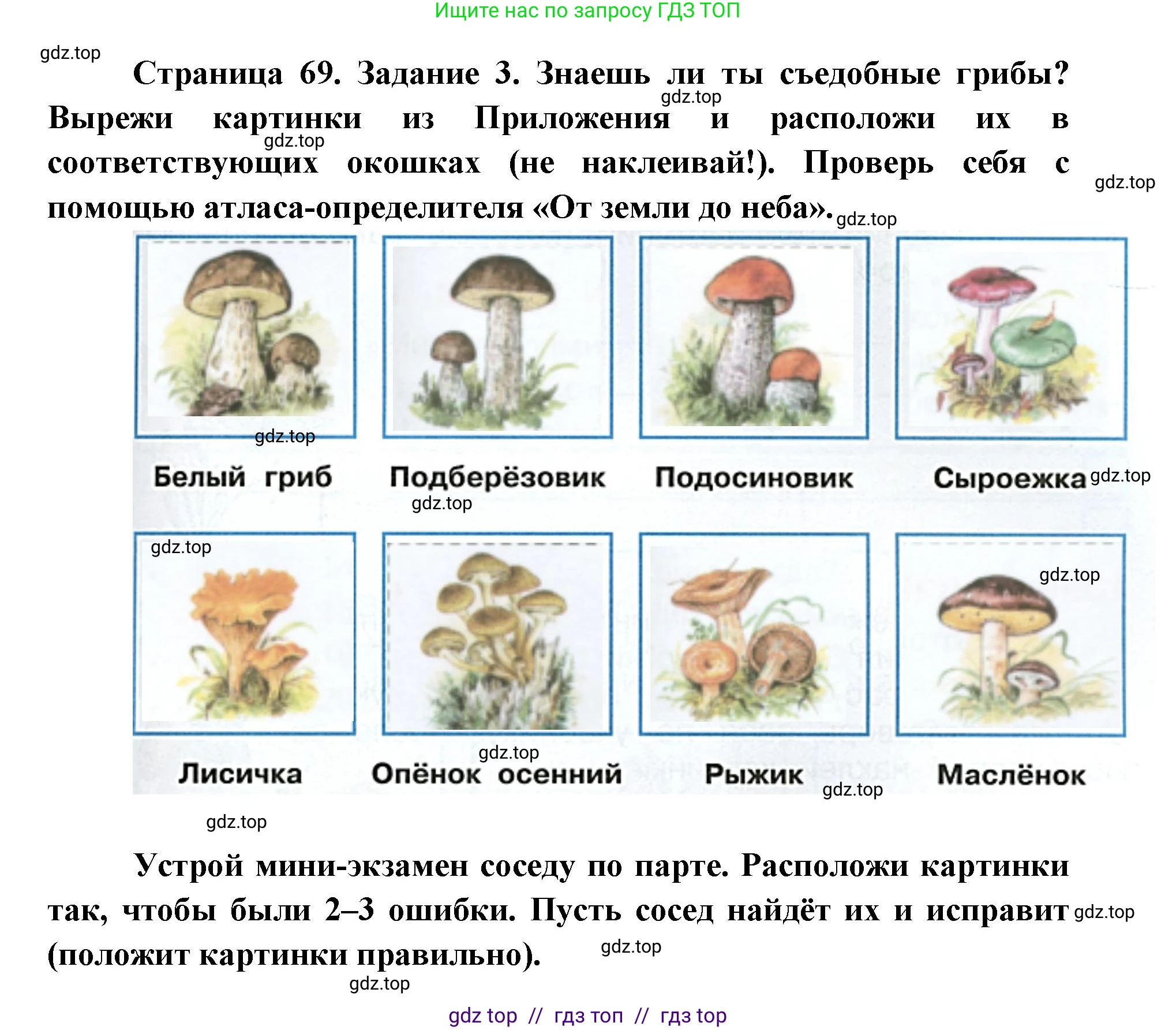 Окружающий мир, 4 класс рабочая тетрадь, авторы: Плешаков Андрей Анатольевич, Крючкова Елена Алексеевна, издательство Просвещение, Москва, 2023, белого цвета, Часть 1, страница 69, номер 3, Решение 2
