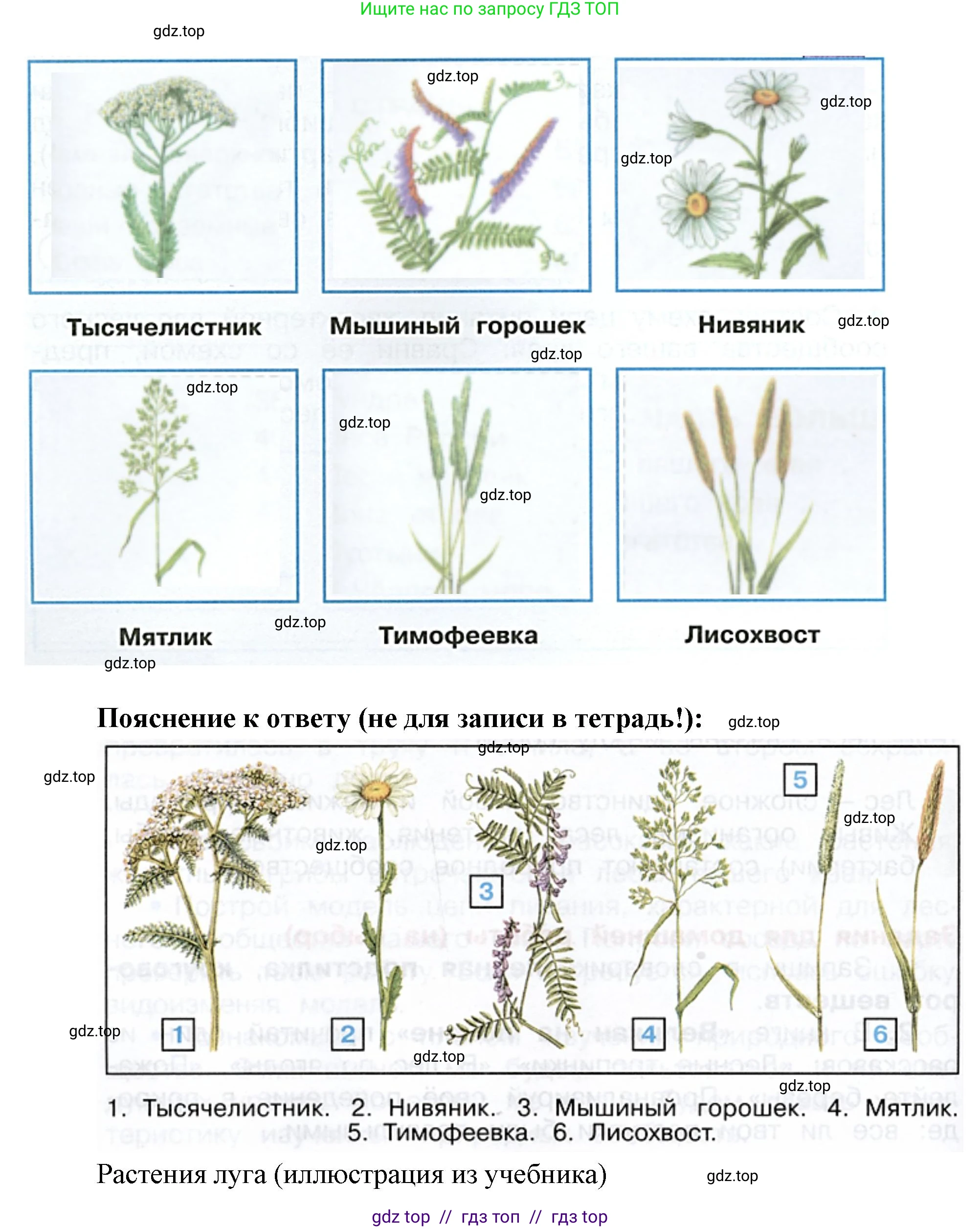 Окружающий мир, 4 класс рабочая тетрадь, авторы: Плешаков Андрей Анатольевич, Крючкова Елена Алексеевна, издательство Просвещение, Москва, 2023, белого цвета, Часть 1, страница 70, номер 2, Решение 2 (продолжение 2)