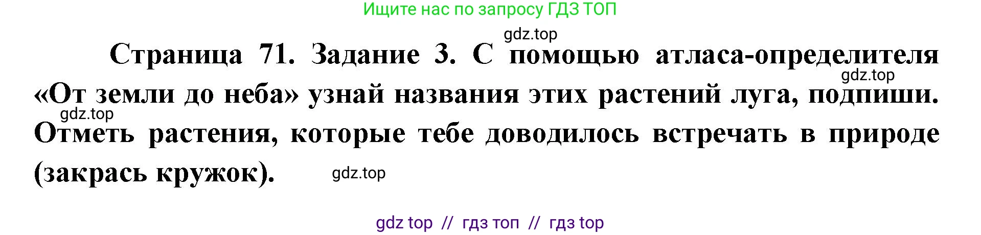 Окружающий мир, 4 класс рабочая тетрадь, авторы: Плешаков Андрей Анатольевич, Крючкова Елена Алексеевна, издательство Просвещение, Москва, 2023, белого цвета, Часть 1, страница 71, номер 3, Решение 2