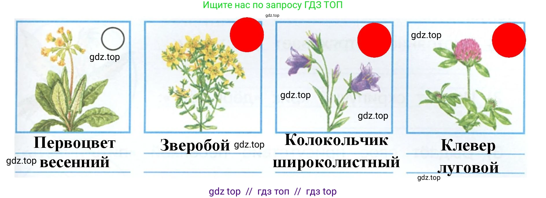 Окружающий мир, 4 класс рабочая тетрадь, авторы: Плешаков Андрей Анатольевич, Крючкова Елена Алексеевна, издательство Просвещение, Москва, 2023, белого цвета, Часть 1, страница 71, номер 3, Решение 2 (продолжение 2)