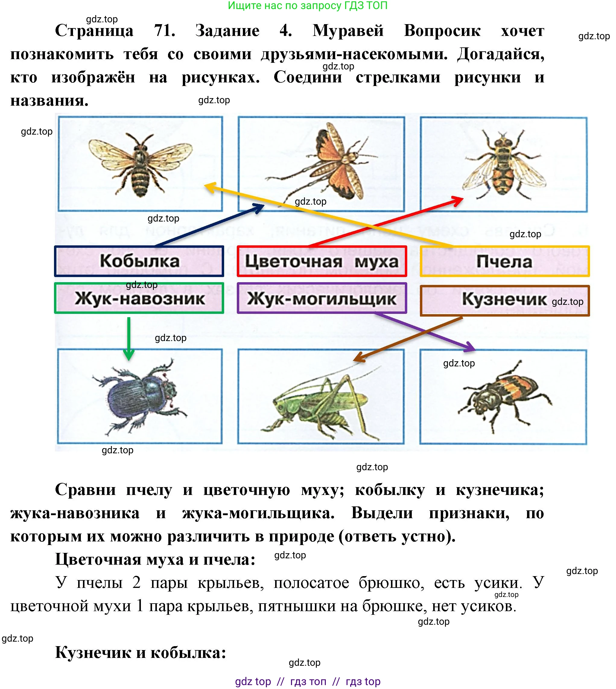 Окружающий мир, 4 класс рабочая тетрадь, авторы: Плешаков Андрей Анатольевич, Крючкова Елена Алексеевна, издательство Просвещение, Москва, 2023, белого цвета, Часть 1, страница 71, номер 4, Решение 2