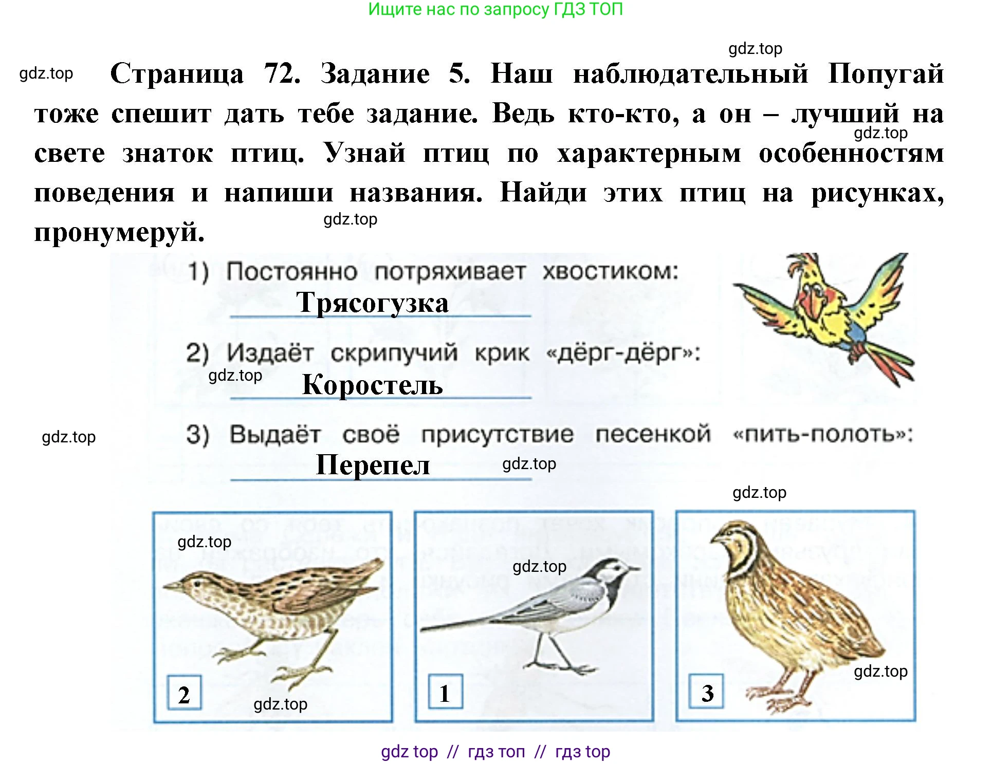 Окружающий мир, 4 класс рабочая тетрадь, авторы: Плешаков Андрей Анатольевич, Крючкова Елена Алексеевна, издательство Просвещение, Москва, 2023, белого цвета, Часть 1, страница 72, номер 5, Решение 2