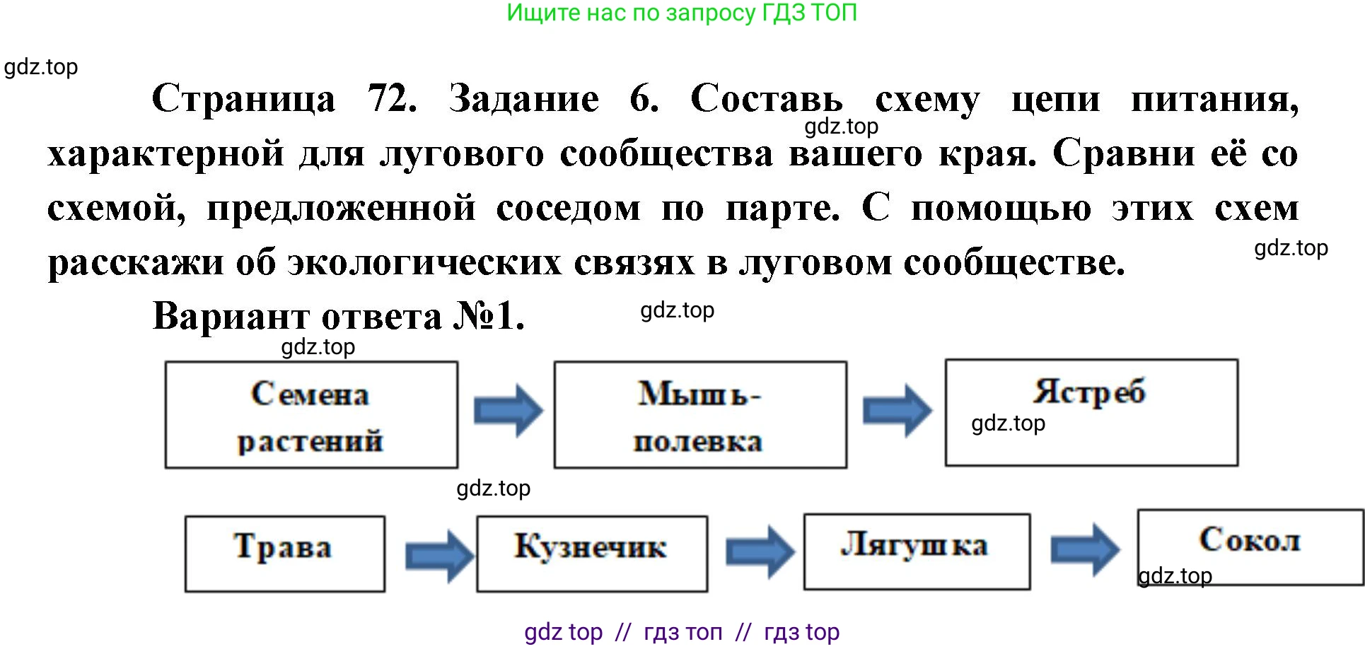 Окружающий мир, 4 класс рабочая тетрадь, авторы: Плешаков Андрей Анатольевич, Крючкова Елена Алексеевна, издательство Просвещение, Москва, 2023, белого цвета, Часть 1, страница 72, номер 6, Решение 2