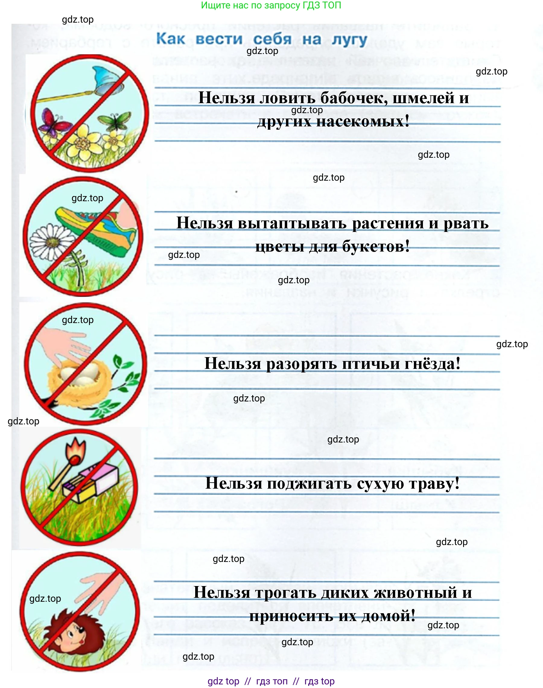 Окружающий мир, 4 класс рабочая тетрадь, авторы: Плешаков Андрей Анатольевич, Крючкова Елена Алексеевна, издательство Просвещение, Москва, 2023, белого цвета, Часть 1, страница 73, номер 7, Решение 2 (продолжение 2)