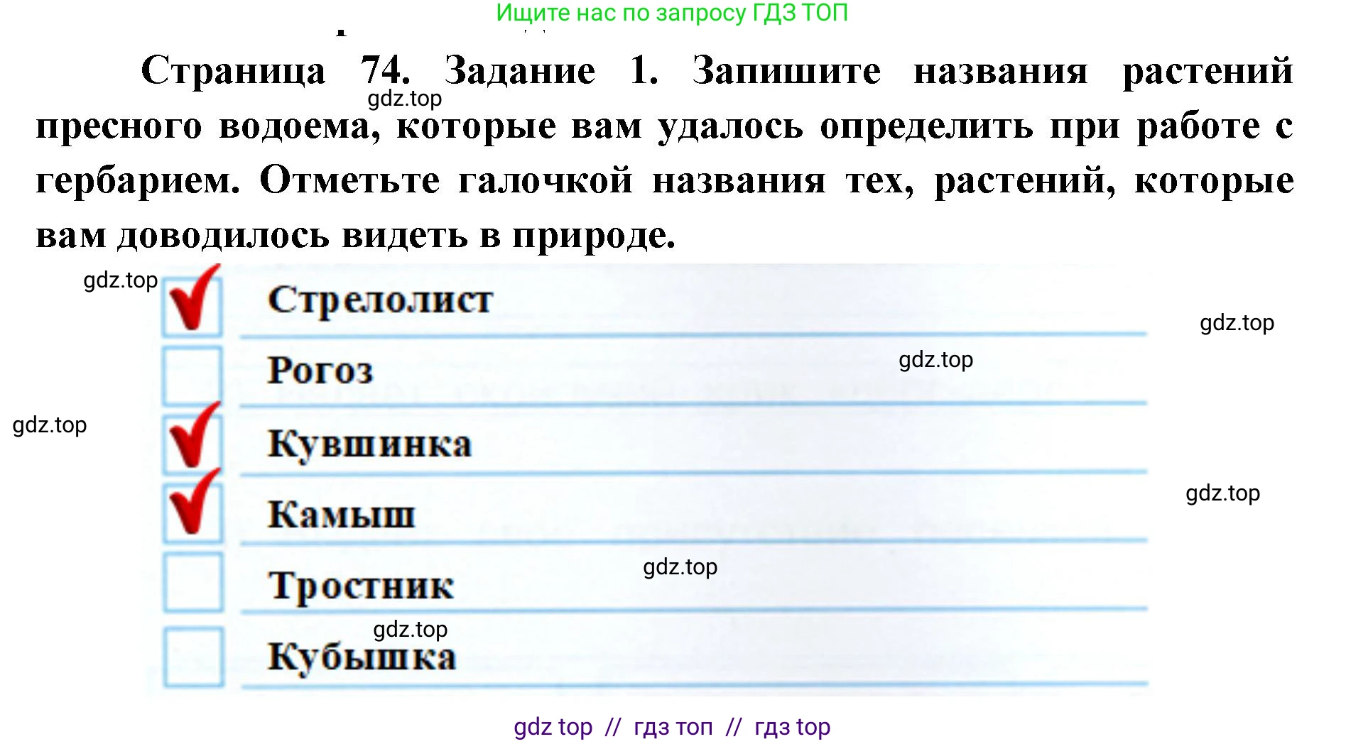 Окружающий мир, 4 класс рабочая тетрадь, авторы: Плешаков Андрей Анатольевич, Крючкова Елена Алексеевна, издательство Просвещение, Москва, 2023, белого цвета, Часть 1, страница 74, номер 1, Решение 2