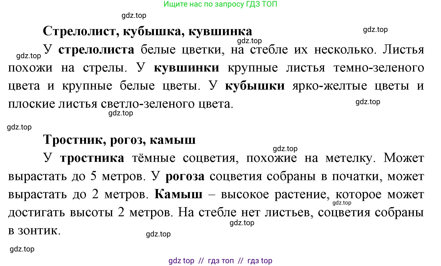 Окружающий мир, 4 класс рабочая тетрадь, авторы: Плешаков Андрей Анатольевич, Крючкова Елена Алексеевна, издательство Просвещение, Москва, 2023, белого цвета, Часть 1, страница 74, номер 2, Решение 2 (продолжение 2)