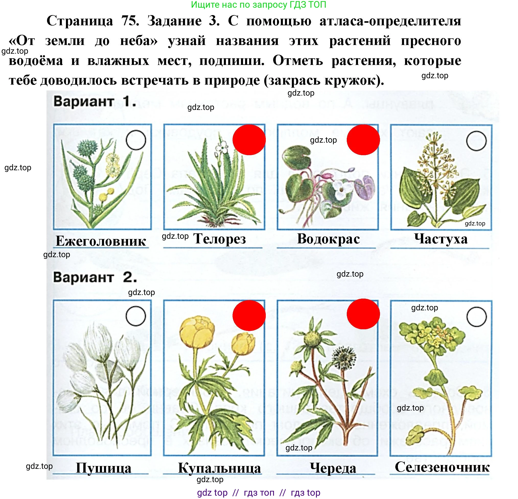 Окружающий мир, 4 класс рабочая тетрадь, авторы: Плешаков Андрей Анатольевич, Крючкова Елена Алексеевна, издательство Просвещение, Москва, 2023, белого цвета, Часть 1, страница 75, номер 3, Решение 2