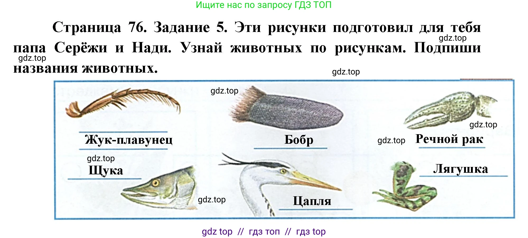 Окружающий мир, 4 класс рабочая тетрадь, авторы: Плешаков Андрей Анатольевич, Крючкова Елена Алексеевна, издательство Просвещение, Москва, 2023, белого цвета, Часть 1, страница 76, номер 5, Решение 2