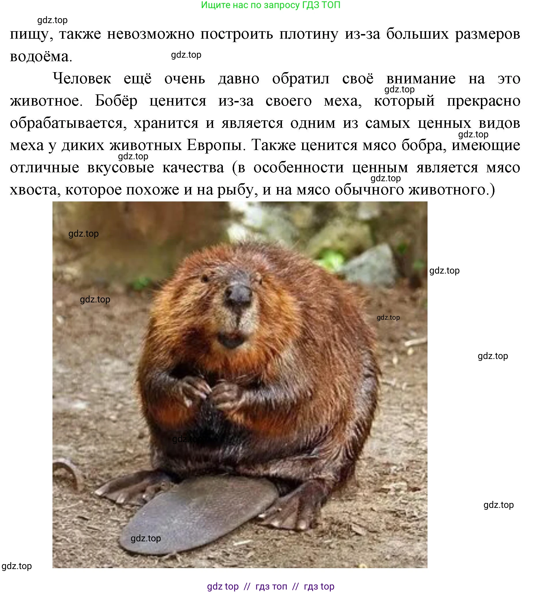 Окружающий мир, 4 класс рабочая тетрадь, авторы: Плешаков Андрей Анатольевич, Крючкова Елена Алексеевна, издательство Просвещение, Москва, 2023, белого цвета, Часть 1, страница 77, номер 8, Решение 2 (продолжение 3)