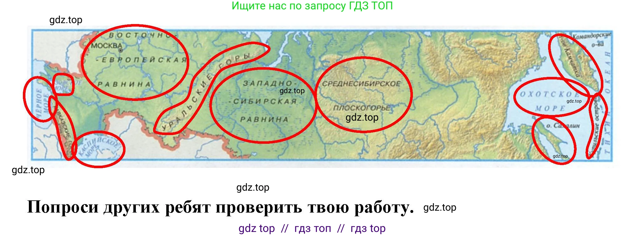 Окружающий мир, 4 класс рабочая тетрадь, авторы: Плешаков Андрей Анатольевич, Крючкова Елена Алексеевна, издательство Просвещение, Москва, 2023, белого цвета, Часть 1, страница 10, номер 3, Решение 2 (продолжение 2)