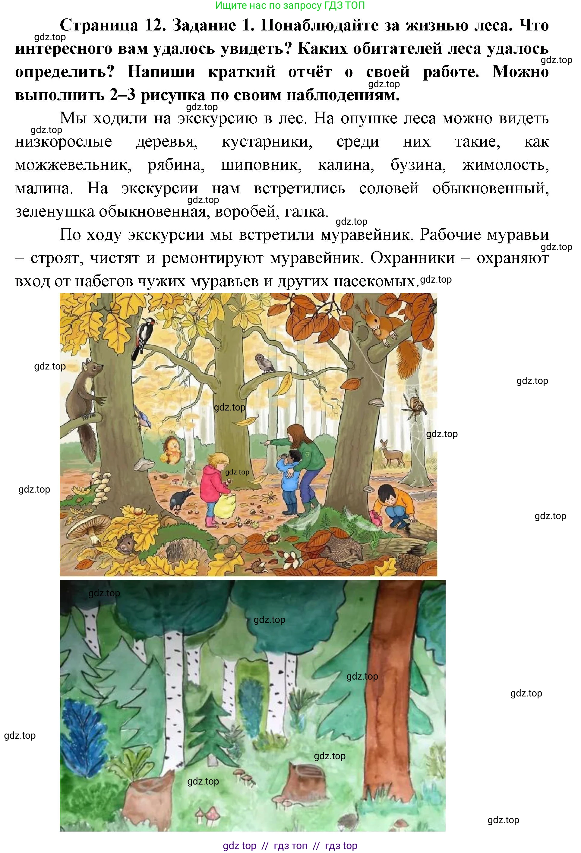 Окружающий мир, 4 класс рабочая тетрадь, авторы: Плешаков Андрей Анатольевич, Крючкова Елена Алексеевна, издательство Просвещение, Москва, 2023, белого цвета, страница 12, номер 1, Решение 2