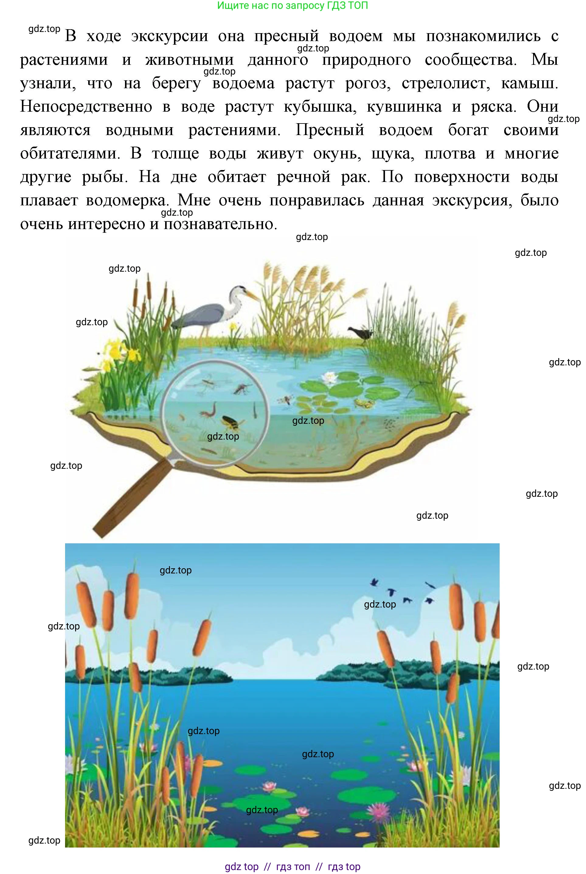 Окружающий мир, 4 класс рабочая тетрадь, авторы: Плешаков Андрей Анатольевич, Крючкова Елена Алексеевна, издательство Просвещение, Москва, 2023, белого цвета, страница 14, номер 3, Решение 2 (продолжение 2)