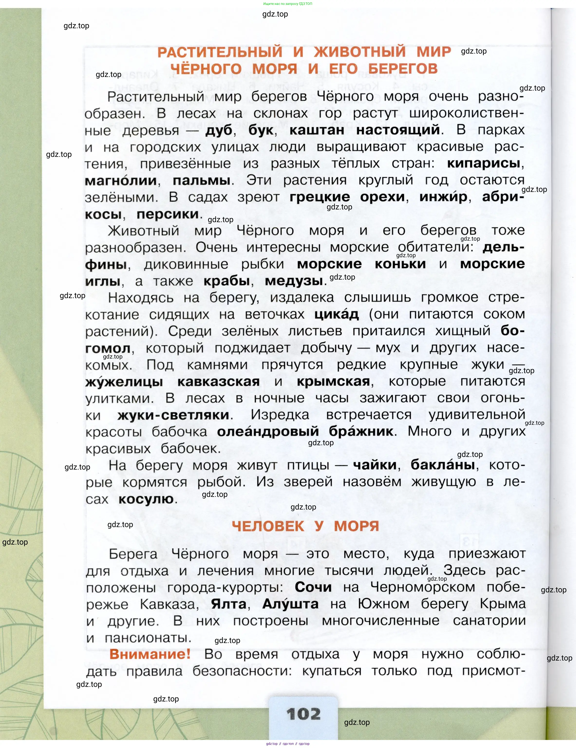Окружающий мир, 4 класс Учебник, авторы: Плешаков Андрей Анатольевич, Крючкова Елена Алексеевна, издательство Просвещение, Москва, 2023, белого цвета, Часть 2, страница 102