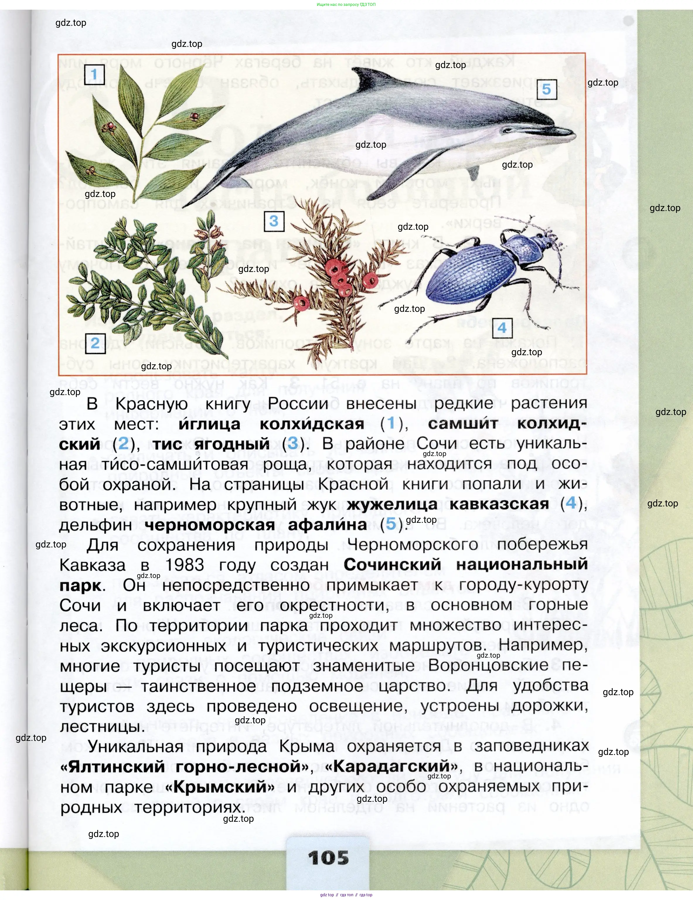 Окружающий мир, 4 класс Учебник, авторы: Плешаков Андрей Анатольевич, Крючкова Елена Алексеевна, издательство Просвещение, Москва, 2023, белого цвета, страница 105