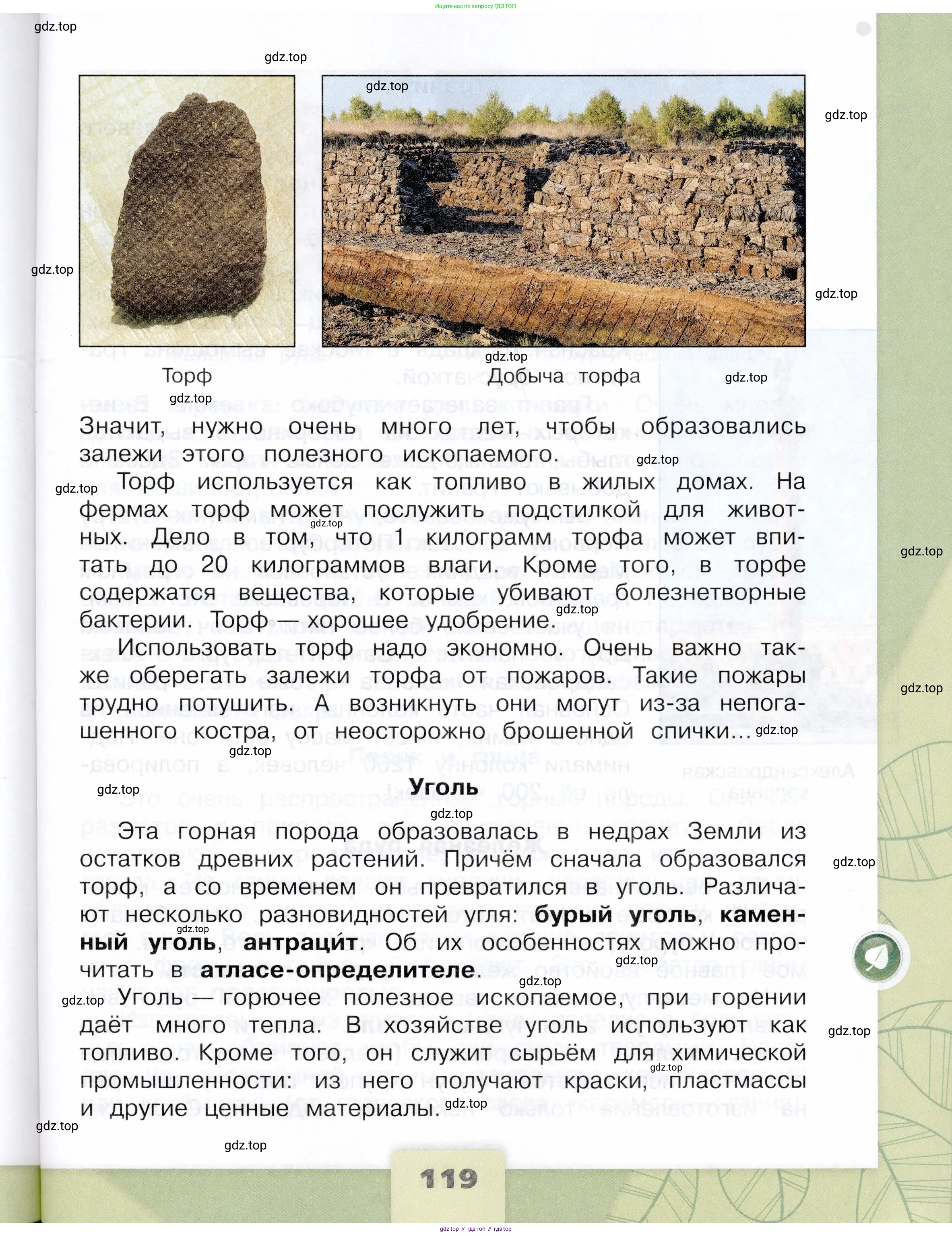 Окружающий мир, 4 класс Учебник, авторы: Плешаков Андрей Анатольевич, Крючкова Елена Алексеевна, издательство Просвещение, Москва, 2023, белого цвета, страница 119