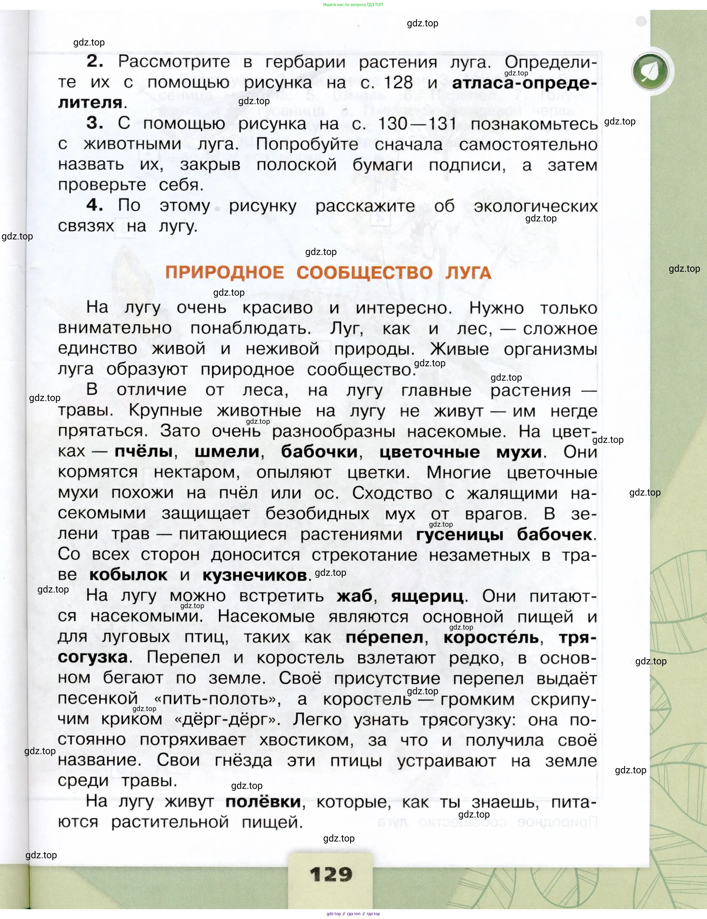 Окружающий мир, 4 класс Учебник, авторы: Плешаков Андрей Анатольевич, Крючкова Елена Алексеевна, издательство Просвещение, Москва, 2023, белого цвета, страница 129