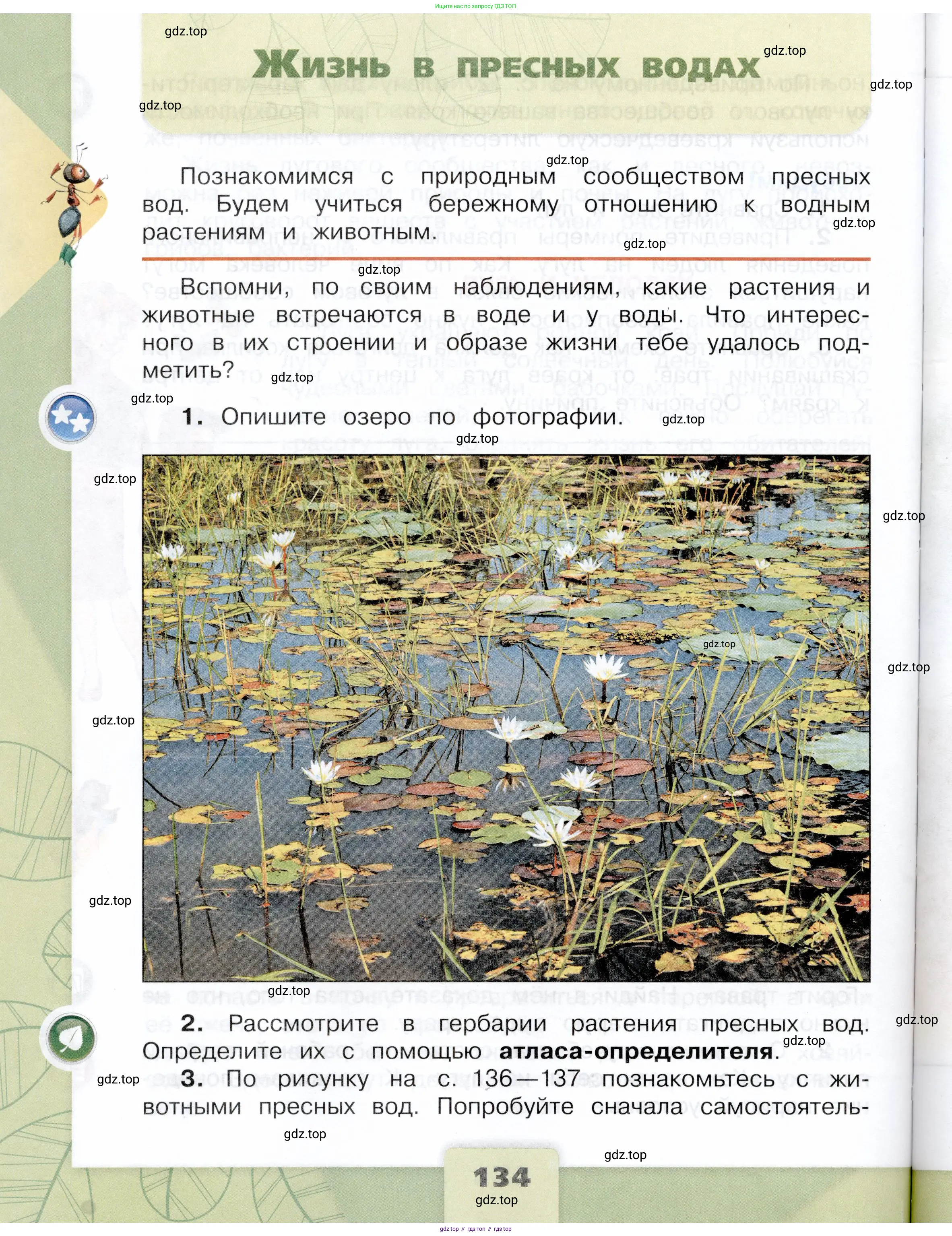 Окружающий мир, 4 класс Учебник, авторы: Плешаков Андрей Анатольевич, Крючкова Елена Алексеевна, издательство Просвещение, Москва, 2023, белого цвета, Часть 1, страница 134