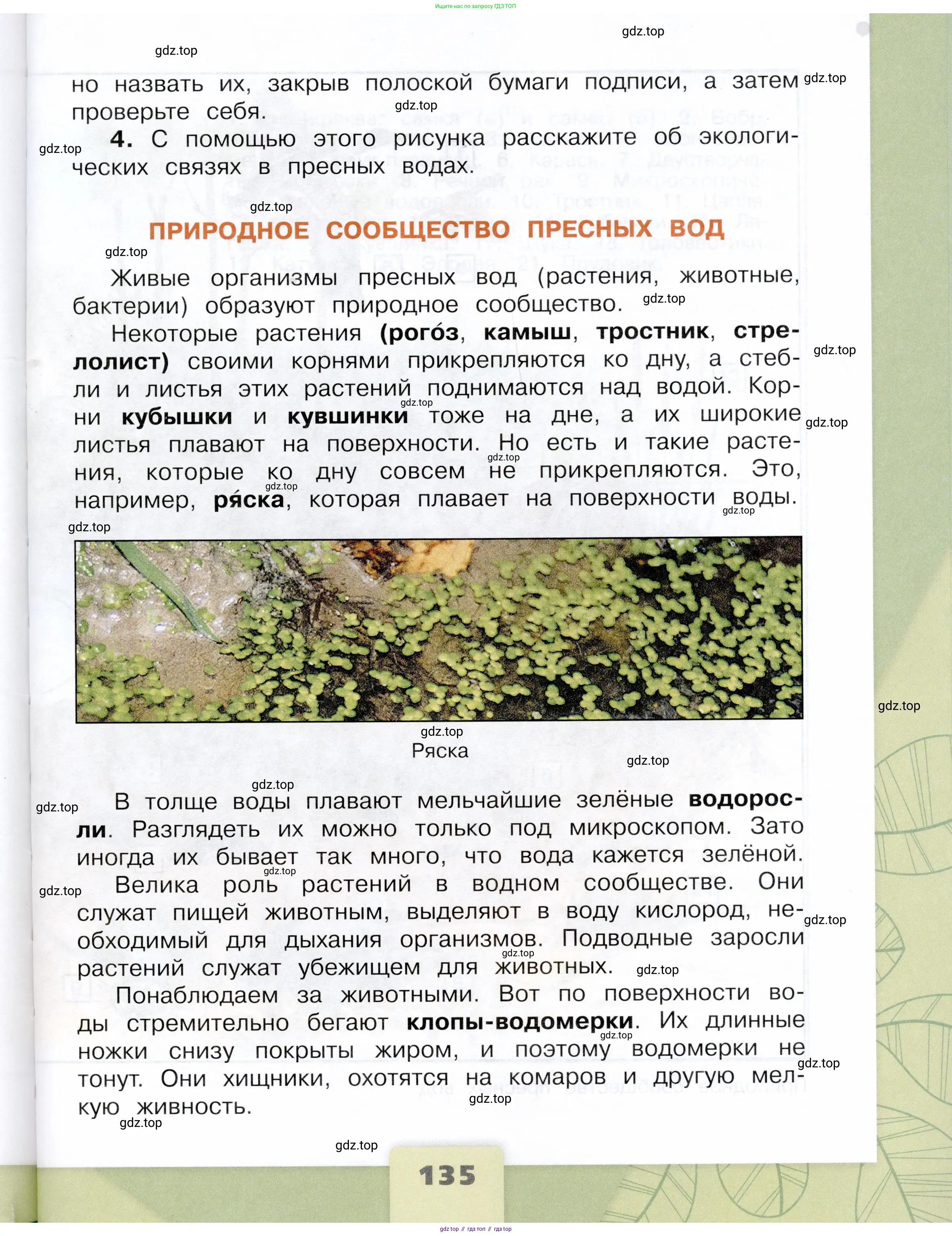 Окружающий мир, 4 класс Учебник, авторы: Плешаков Андрей Анатольевич, Крючкова Елена Алексеевна, издательство Просвещение, Москва, 2023, белого цвета, страница 135