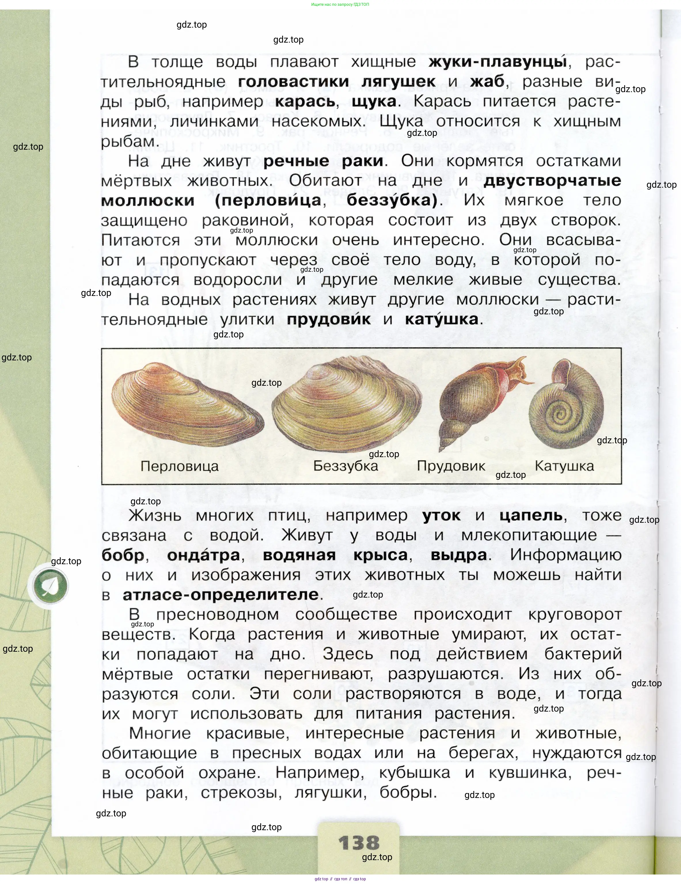 Окружающий мир, 4 класс Учебник, авторы: Плешаков Андрей Анатольевич, Крючкова Елена Алексеевна, издательство Просвещение, Москва, 2023, белого цвета, страница 138