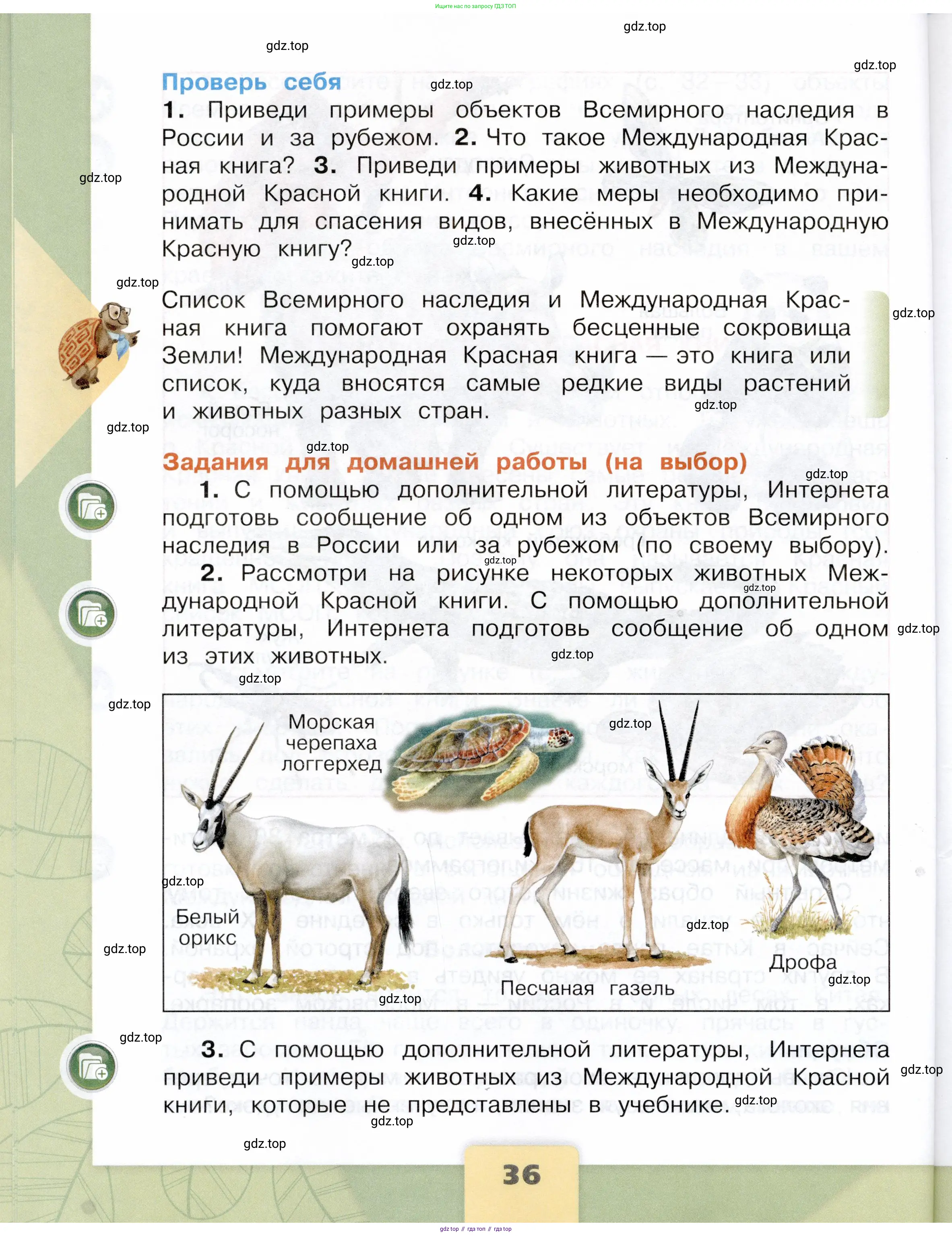 Окружающий мир, 4 класс Учебник, авторы: Плешаков Андрей Анатольевич, Крючкова Елена Алексеевна, издательство Просвещение, Москва, 2023, белого цвета, страница 36