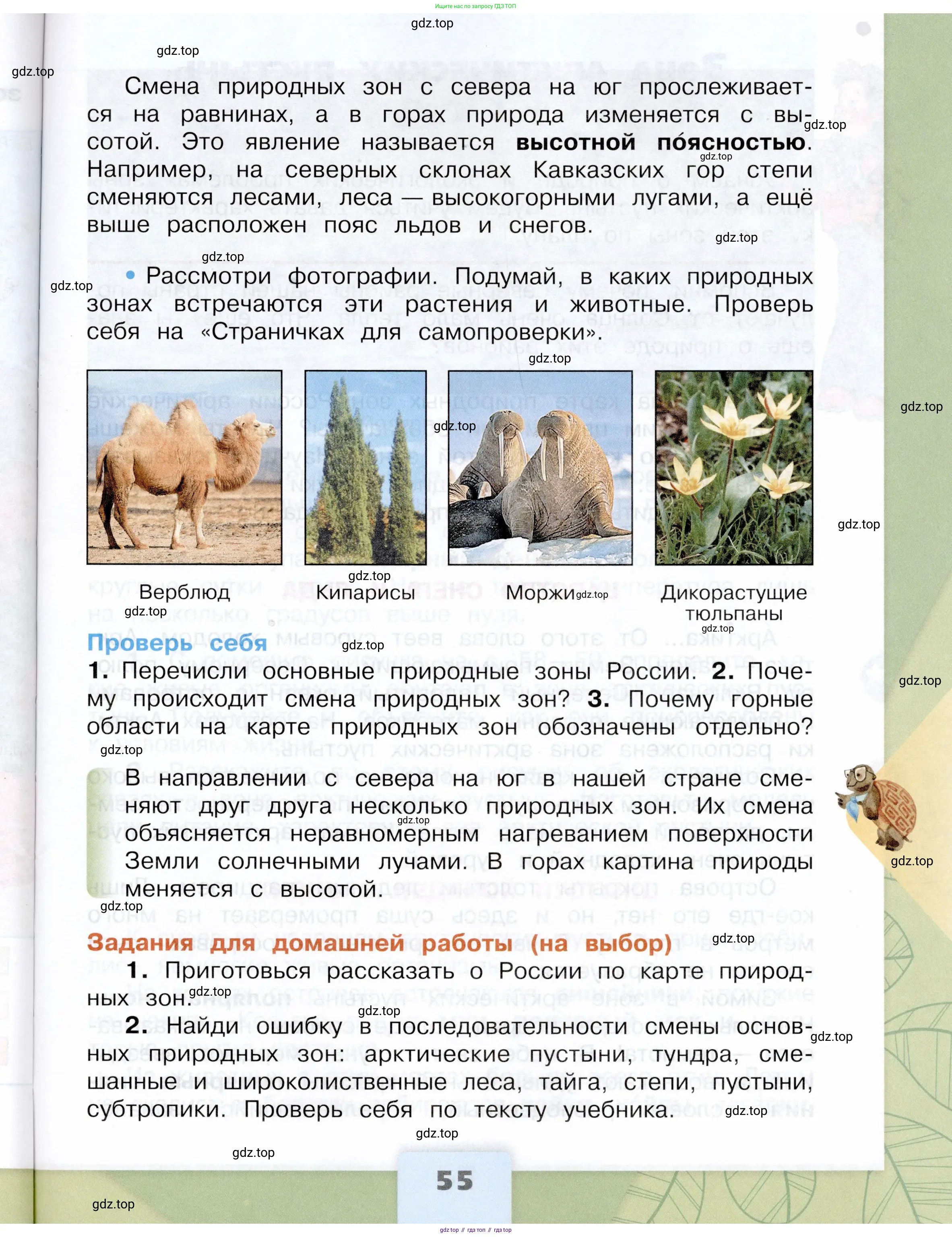 Окружающий мир, 4 класс Учебник, авторы: Плешаков Андрей Анатольевич, Крючкова Елена Алексеевна, издательство Просвещение, Москва, 2023, белого цвета, страница 55