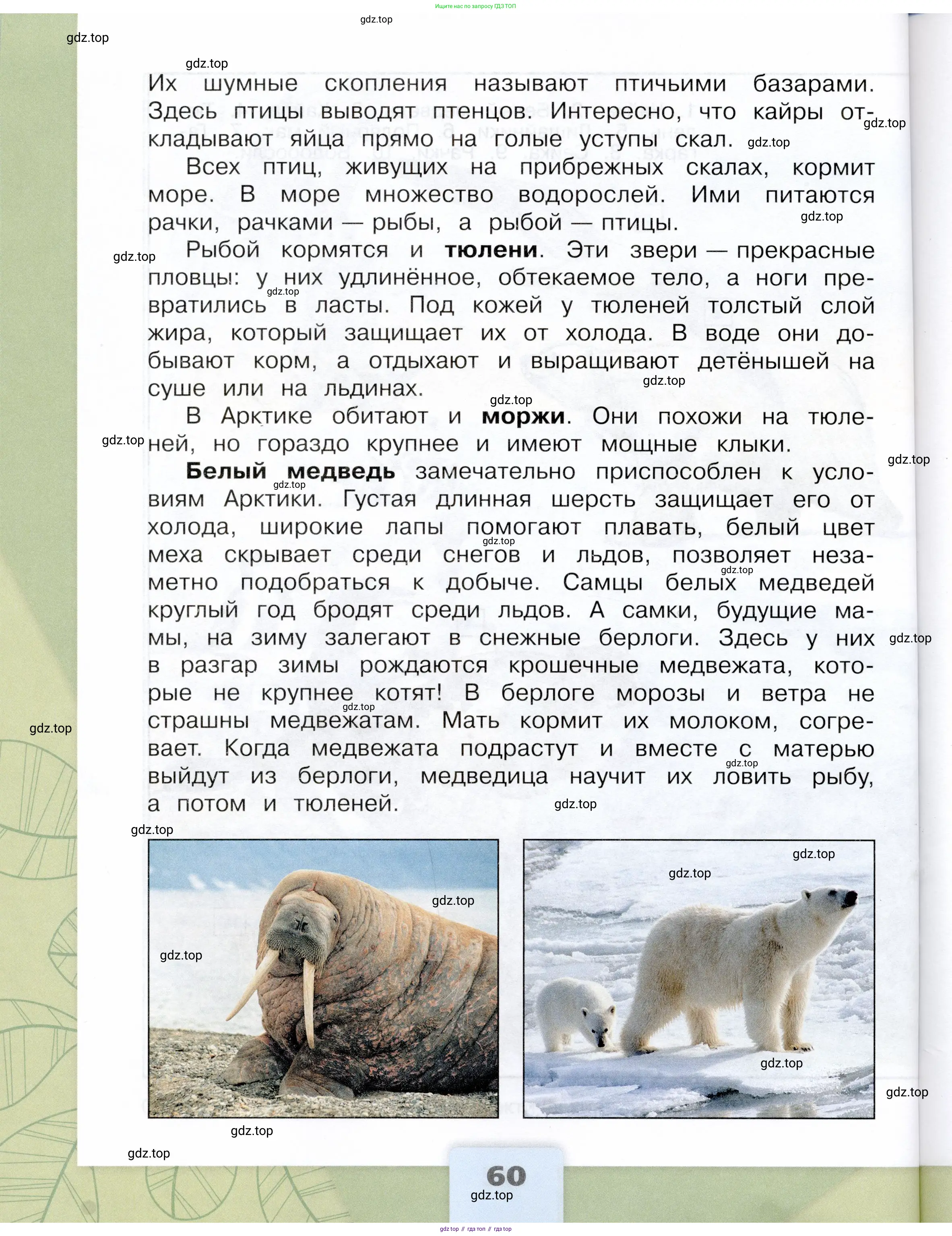 Окружающий мир, 4 класс Учебник, авторы: Плешаков Андрей Анатольевич, Крючкова Елена Алексеевна, издательство Просвещение, Москва, 2023, белого цвета, Часть 2, страница 60