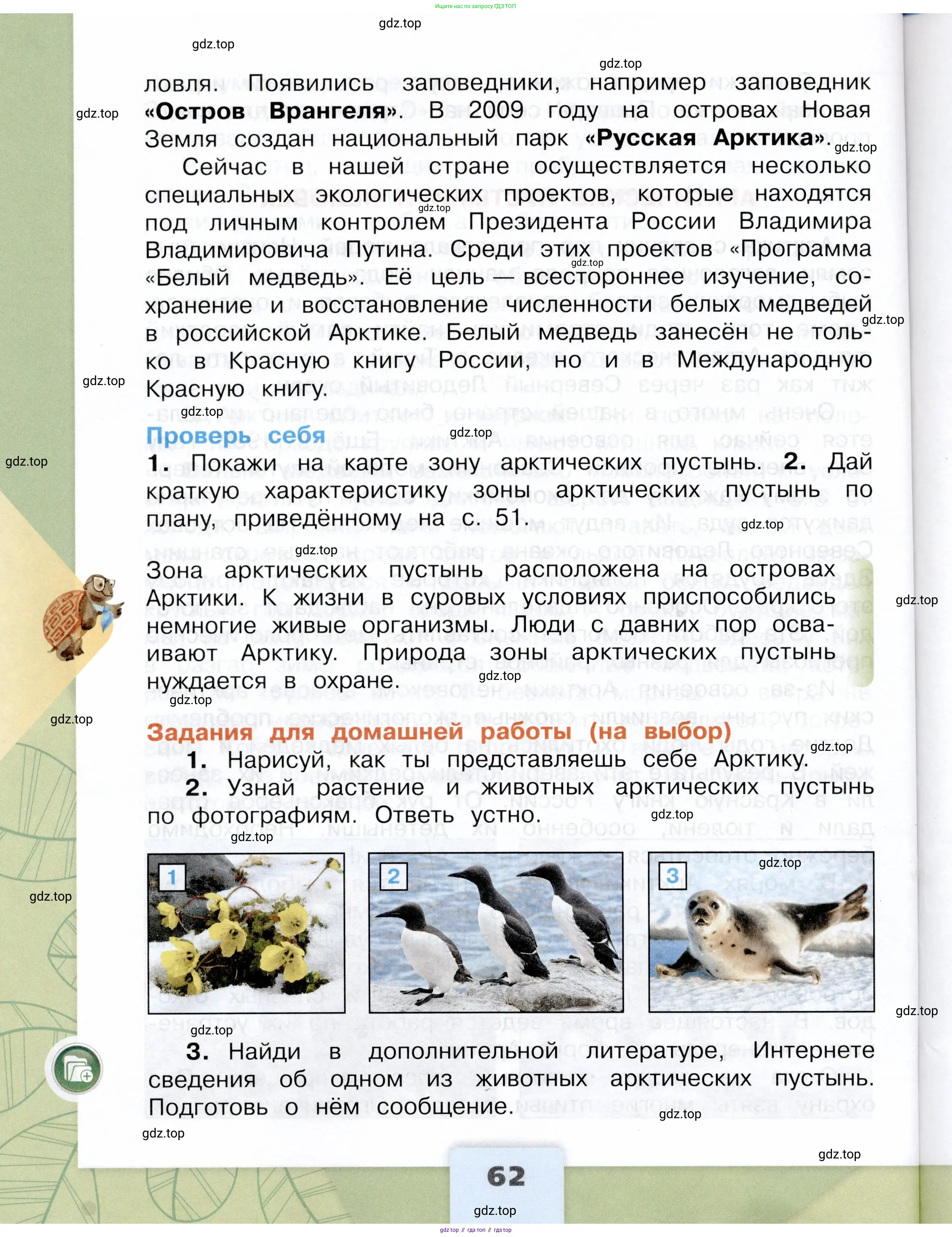 Окружающий мир, 4 класс Учебник, авторы: Плешаков Андрей Анатольевич, Крючкова Елена Алексеевна, издательство Просвещение, Москва, 2023, белого цвета, страница 62