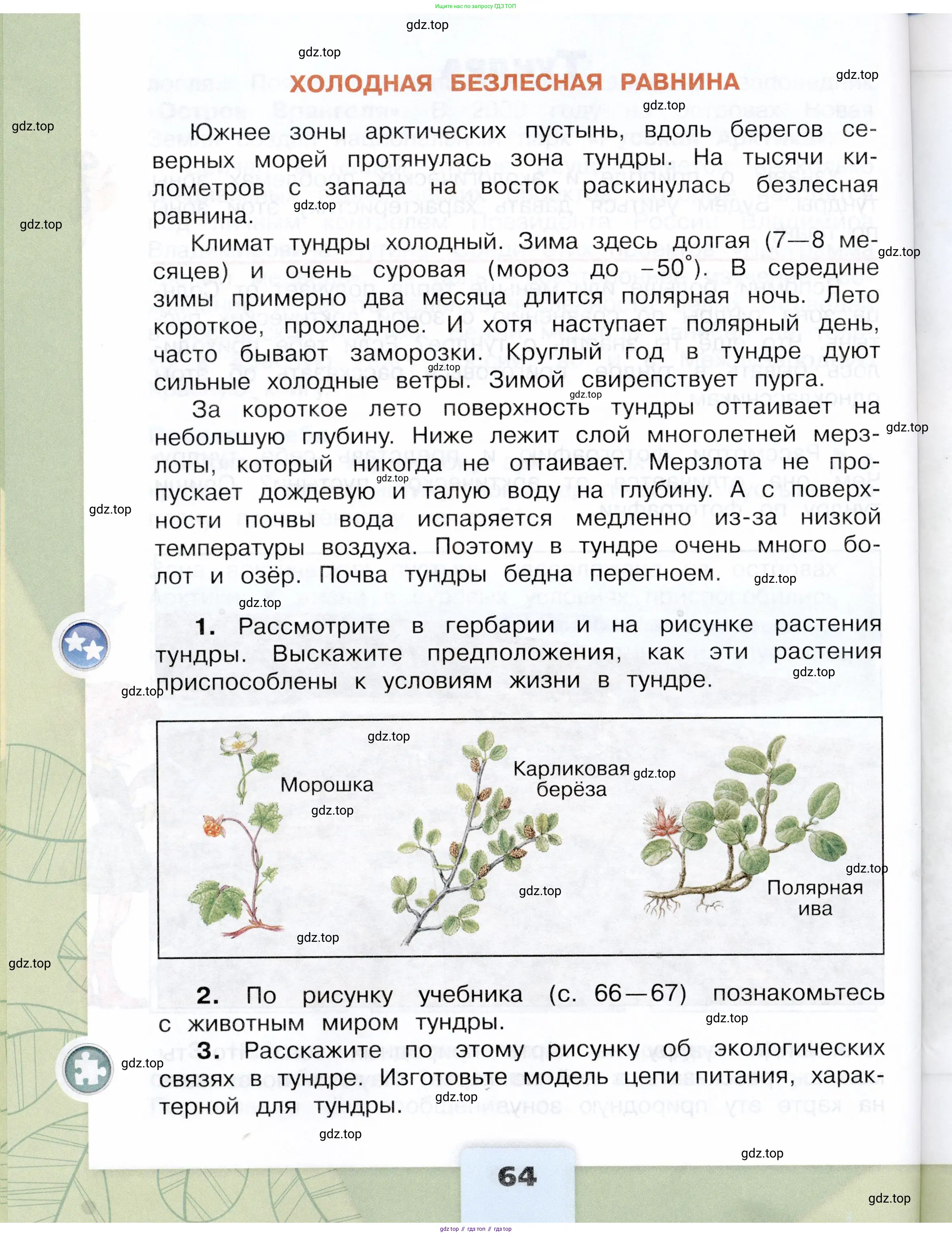 Окружающий мир, 4 класс Учебник, авторы: Плешаков Андрей Анатольевич, Крючкова Елена Алексеевна, издательство Просвещение, Москва, 2023, белого цвета, страница 64