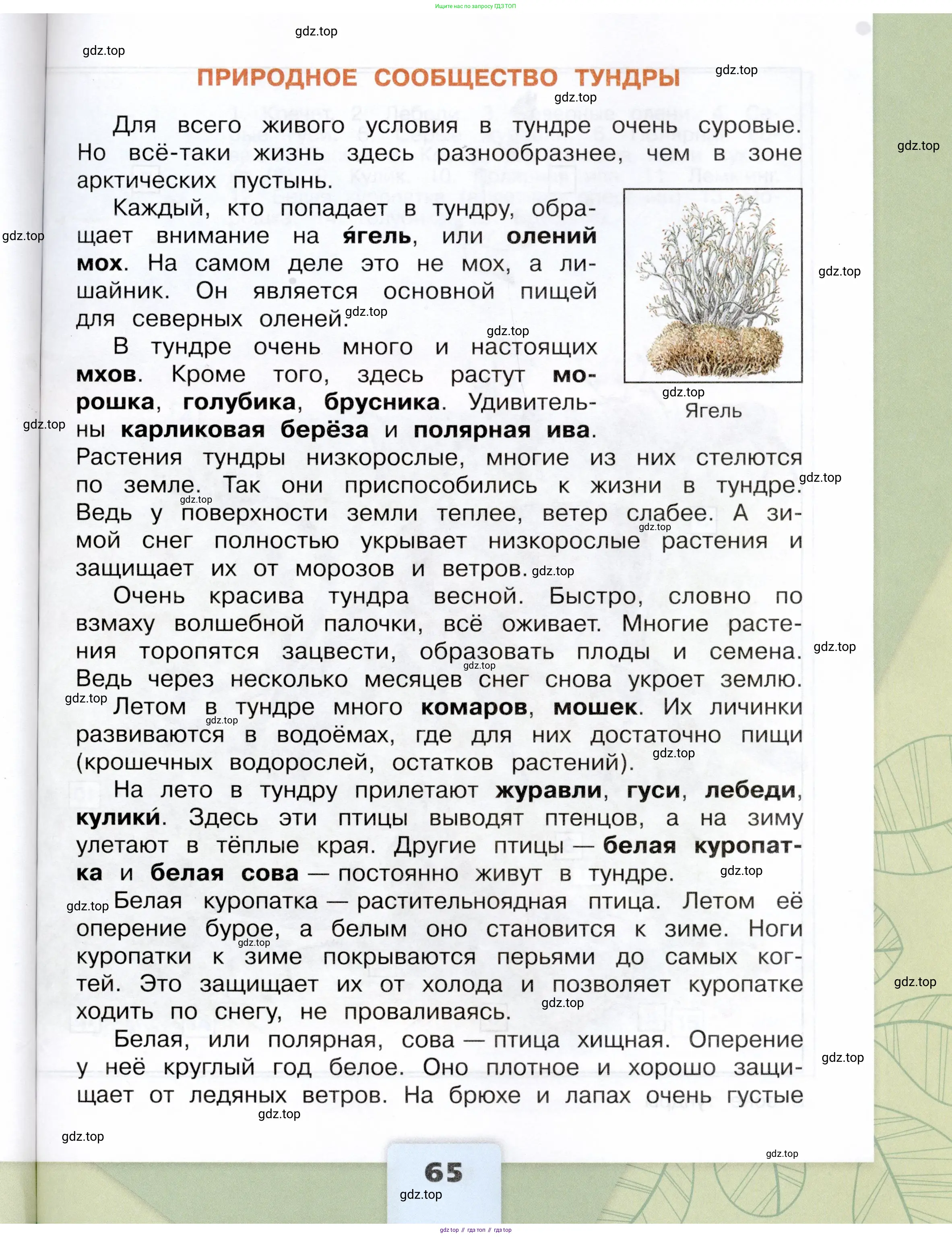 Окружающий мир, 4 класс Учебник, авторы: Плешаков Андрей Анатольевич, Крючкова Елена Алексеевна, издательство Просвещение, Москва, 2023, белого цвета, страница 65