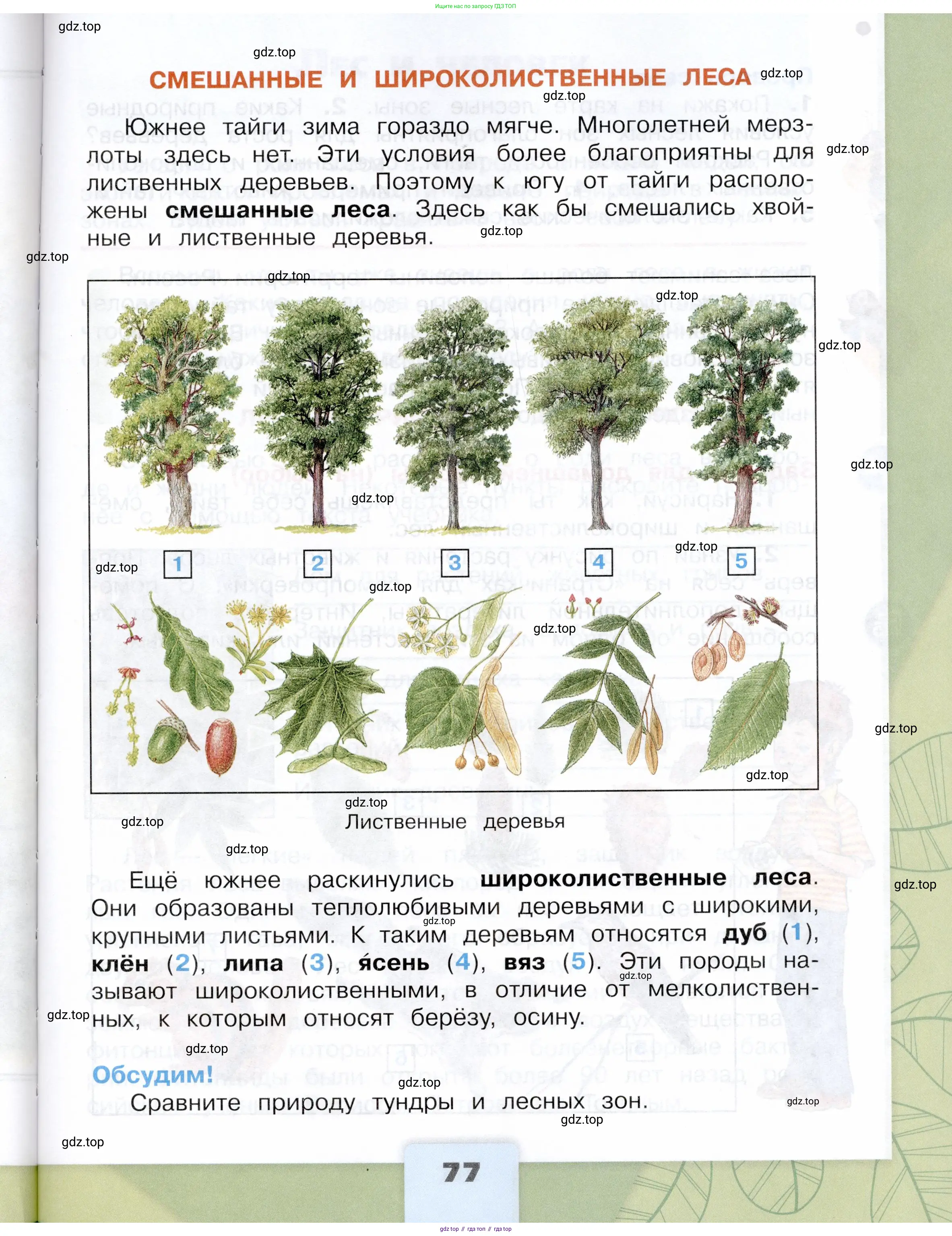 Окружающий мир, 4 класс Учебник, авторы: Плешаков Андрей Анатольевич, Крючкова Елена Алексеевна, издательство Просвещение, Москва, 2023, белого цвета, страница 77