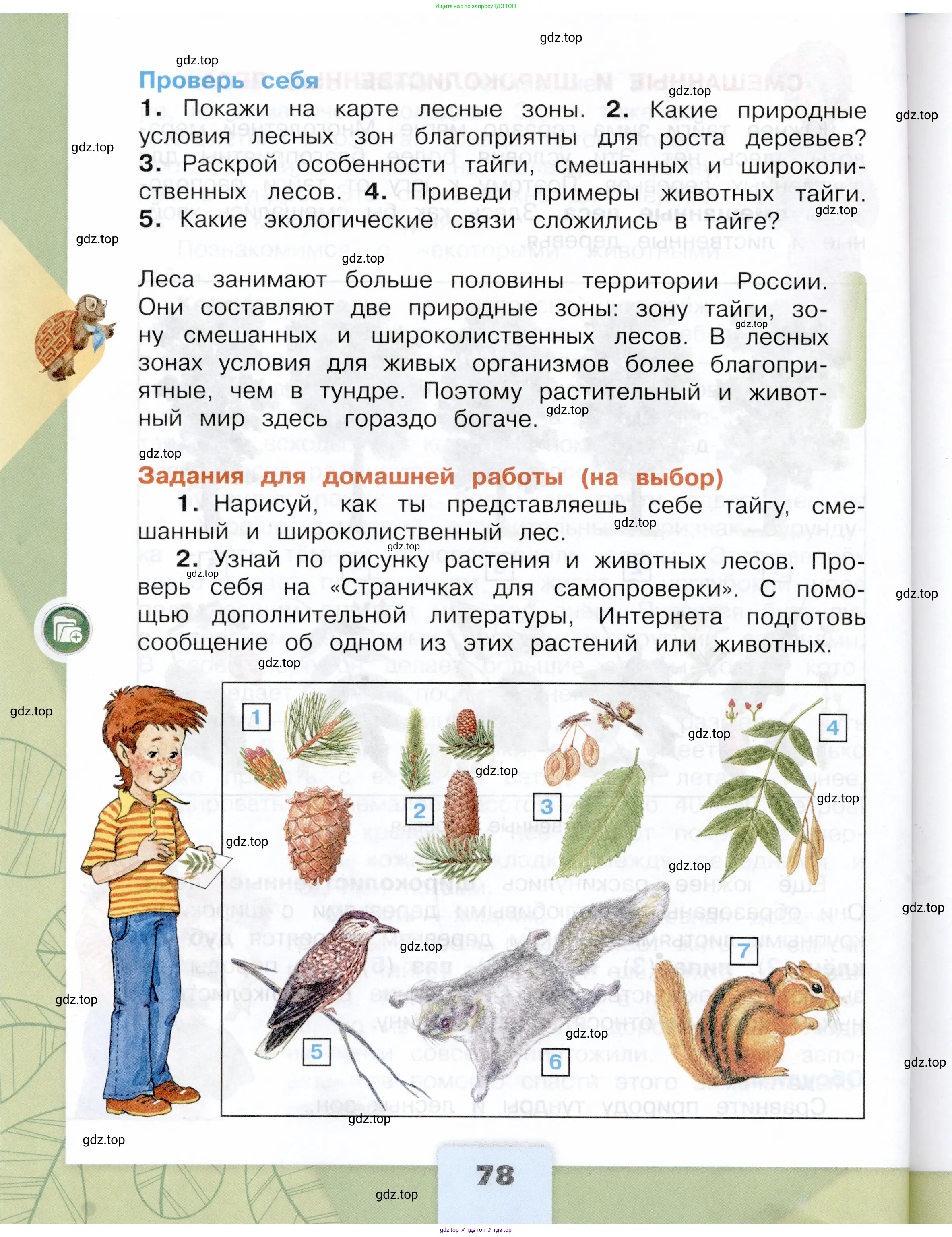 Окружающий мир, 4 класс Учебник, авторы: Плешаков Андрей Анатольевич, Крючкова Елена Алексеевна, издательство Просвещение, Москва, 2023, белого цвета, страница 78