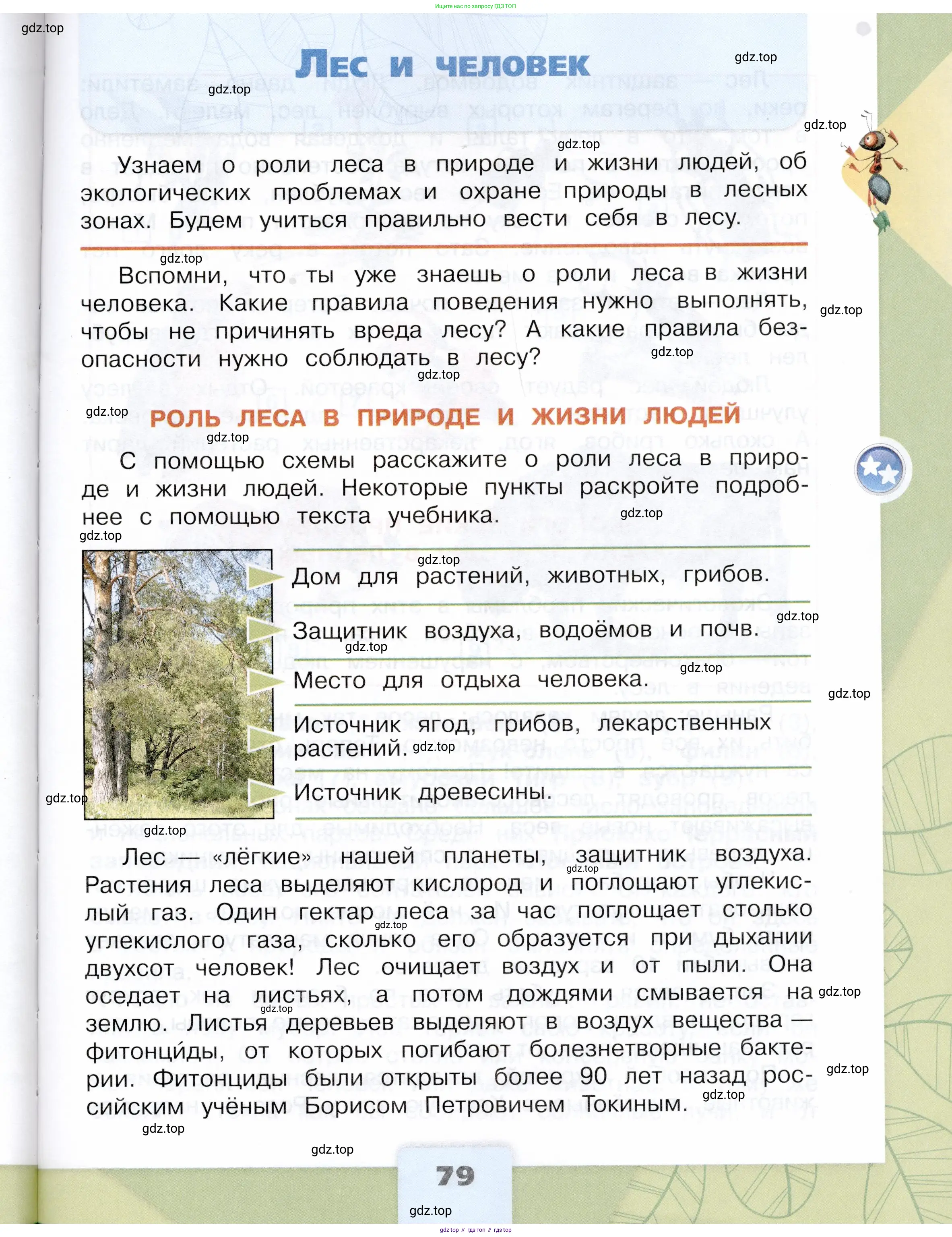 Окружающий мир, 4 класс Учебник, авторы: Плешаков Андрей Анатольевич, Крючкова Елена Алексеевна, издательство Просвещение, Москва, 2023, белого цвета, Часть 1, страница 79