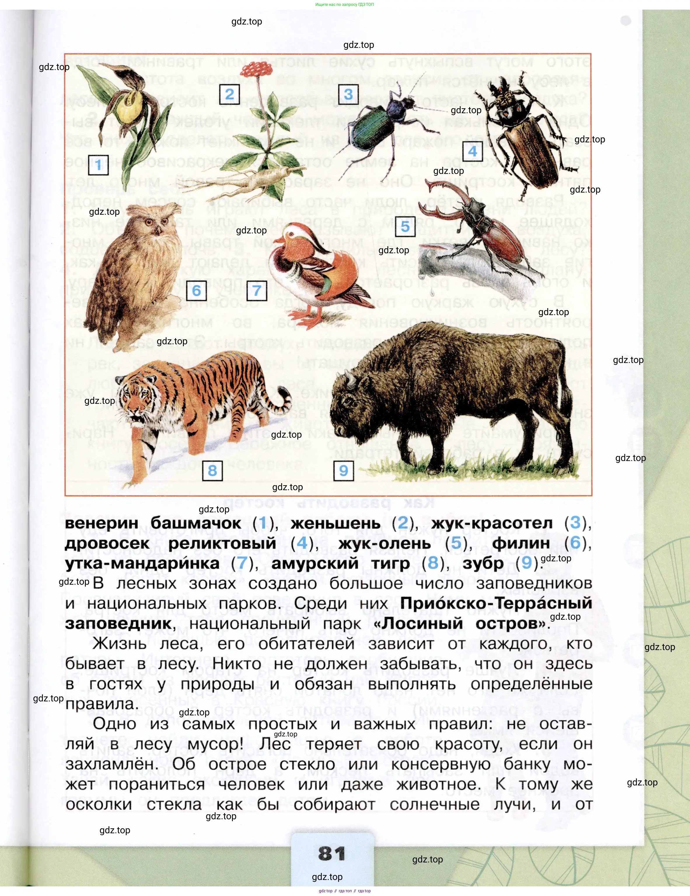 Окружающий мир, 4 класс Учебник, авторы: Плешаков Андрей Анатольевич, Крючкова Елена Алексеевна, издательство Просвещение, Москва, 2023, белого цвета, страница 81