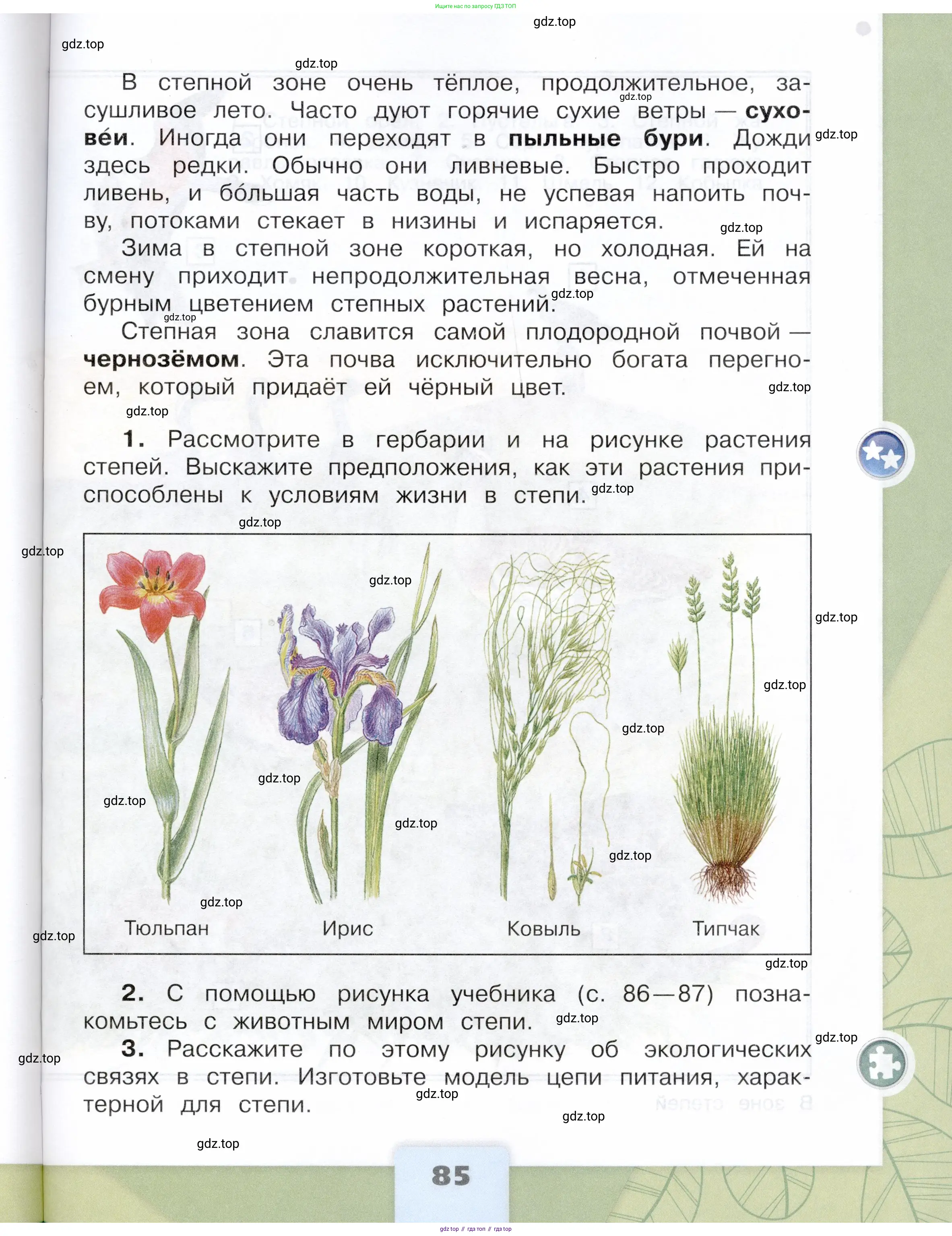 Окружающий мир, 4 класс Учебник, авторы: Плешаков Андрей Анатольевич, Крючкова Елена Алексеевна, издательство Просвещение, Москва, 2023, белого цвета, страница 85