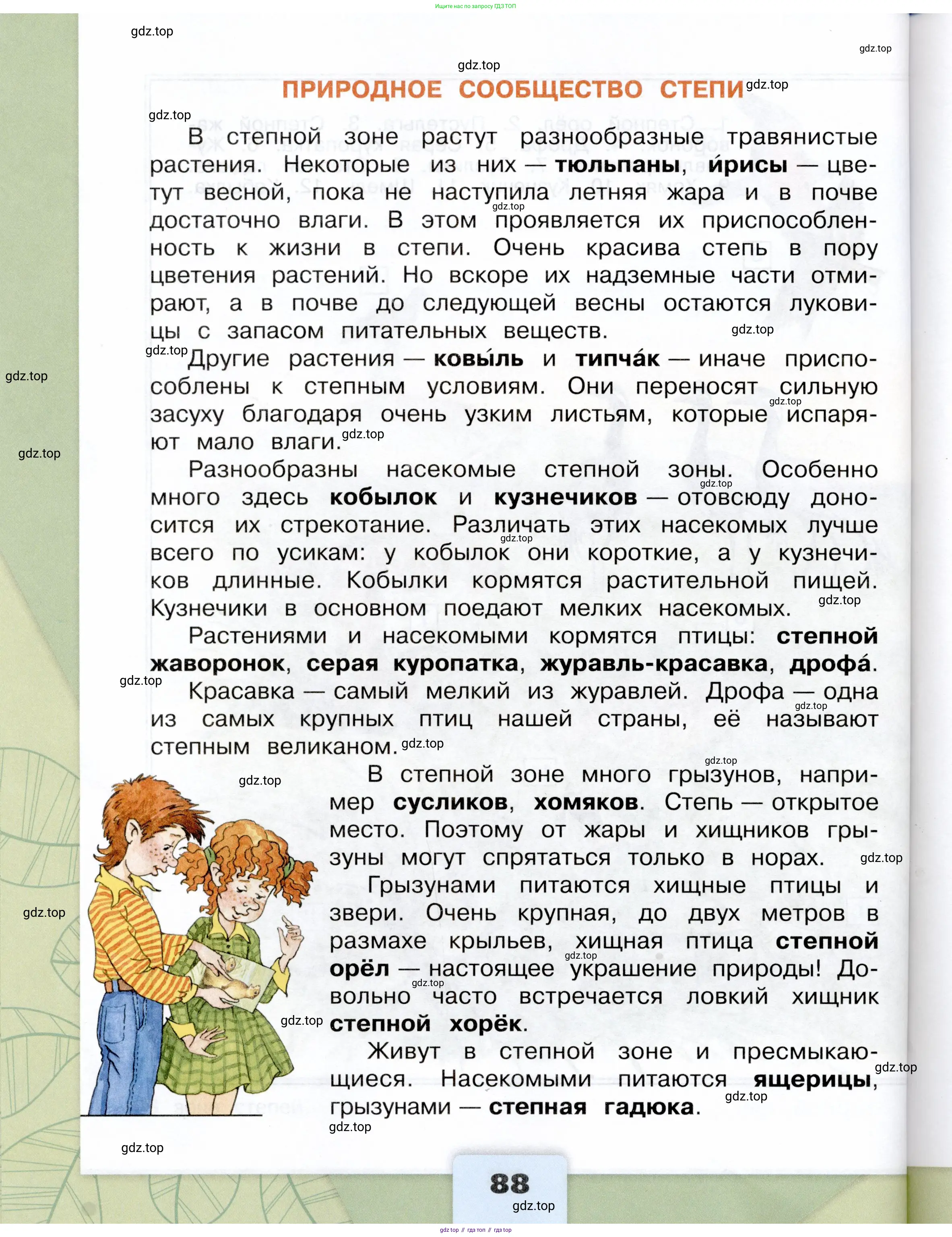 Окружающий мир, 4 класс Учебник, авторы: Плешаков Андрей Анатольевич, Крючкова Елена Алексеевна, издательство Просвещение, Москва, 2023, белого цвета, страница 88