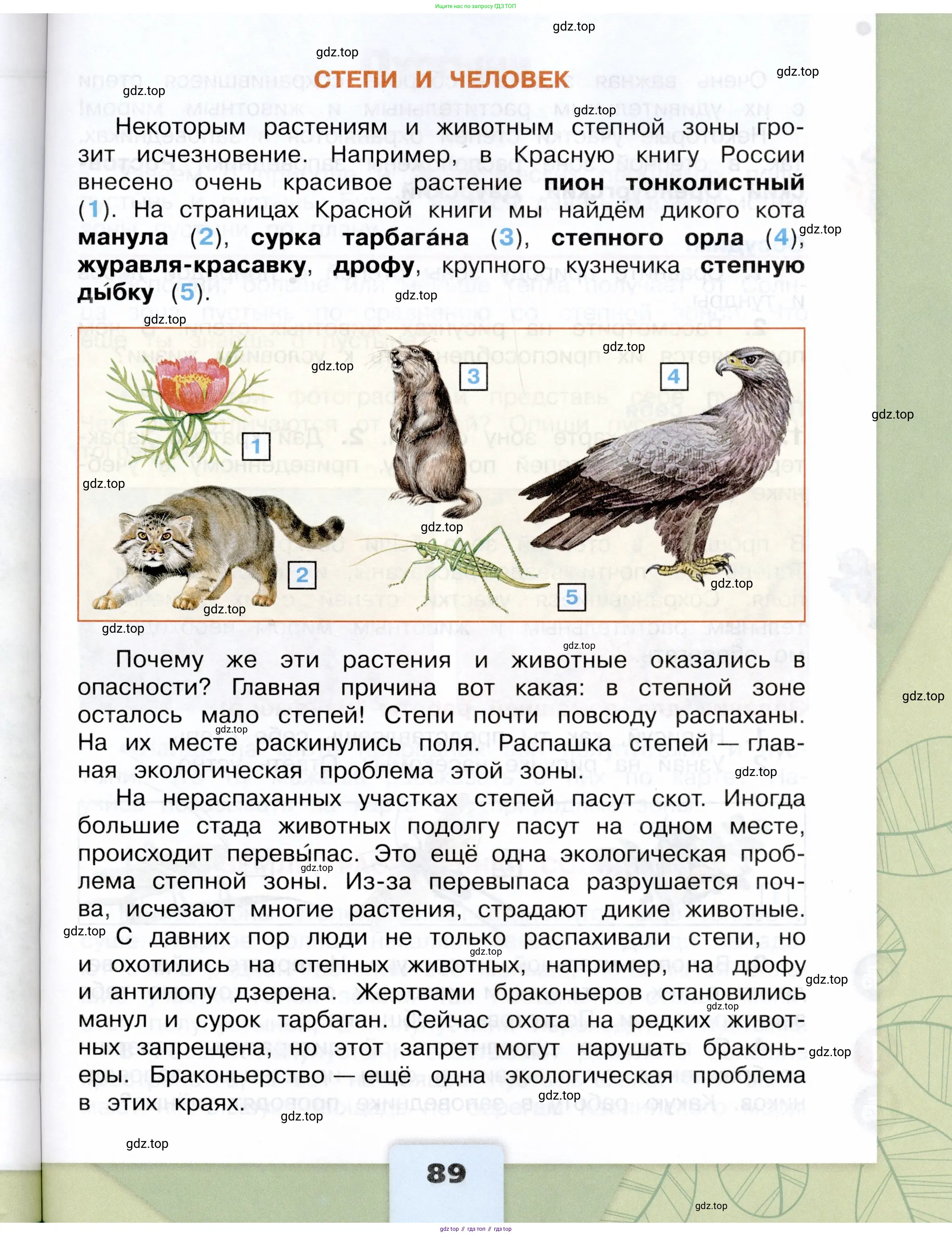 Окружающий мир, 4 класс Учебник, авторы: Плешаков Андрей Анатольевич, Крючкова Елена Алексеевна, издательство Просвещение, Москва, 2023, белого цвета, страница 89