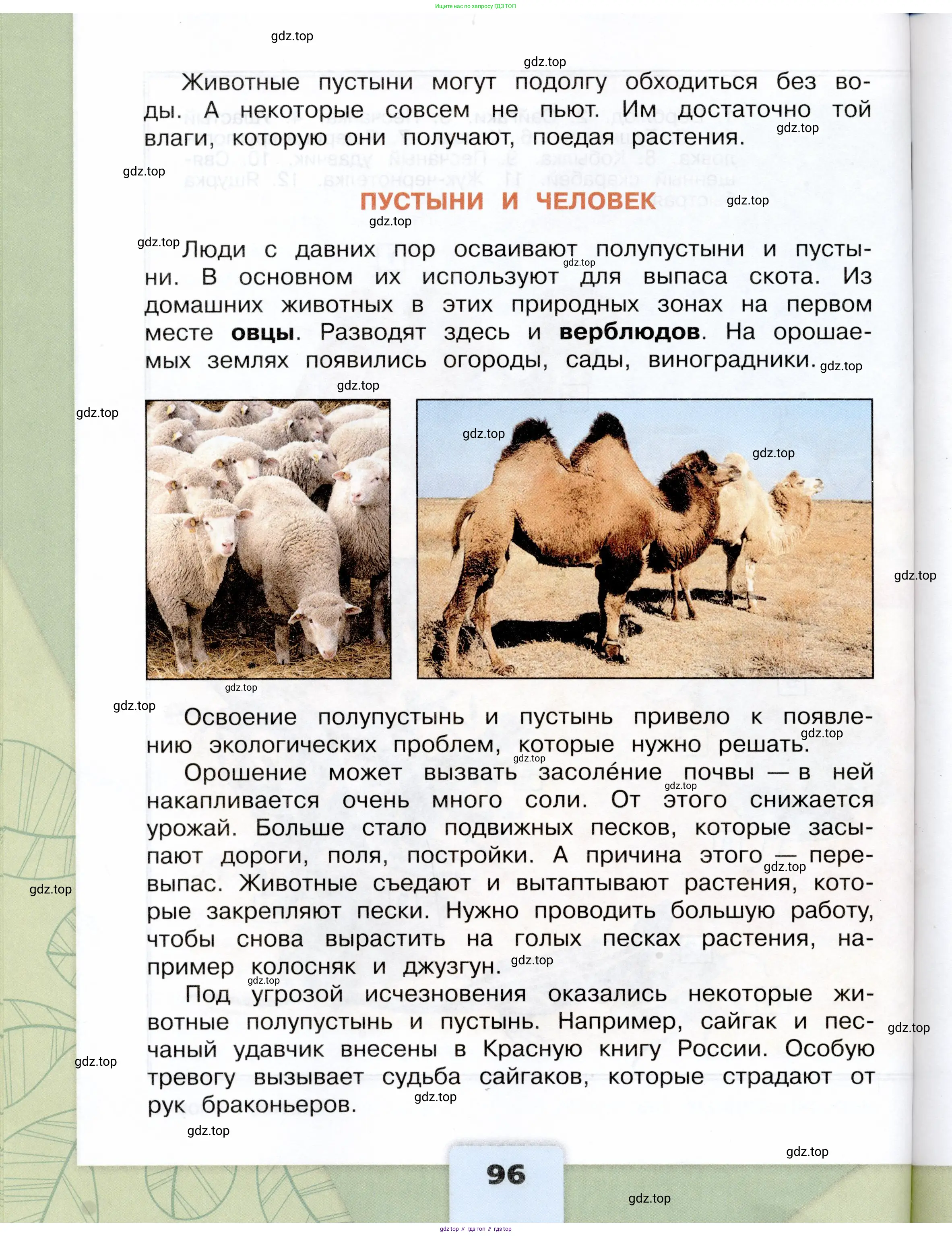 Окружающий мир, 4 класс Учебник, авторы: Плешаков Андрей Анатольевич, Крючкова Елена Алексеевна, издательство Просвещение, Москва, 2023, белого цвета, Часть 2, страница 96