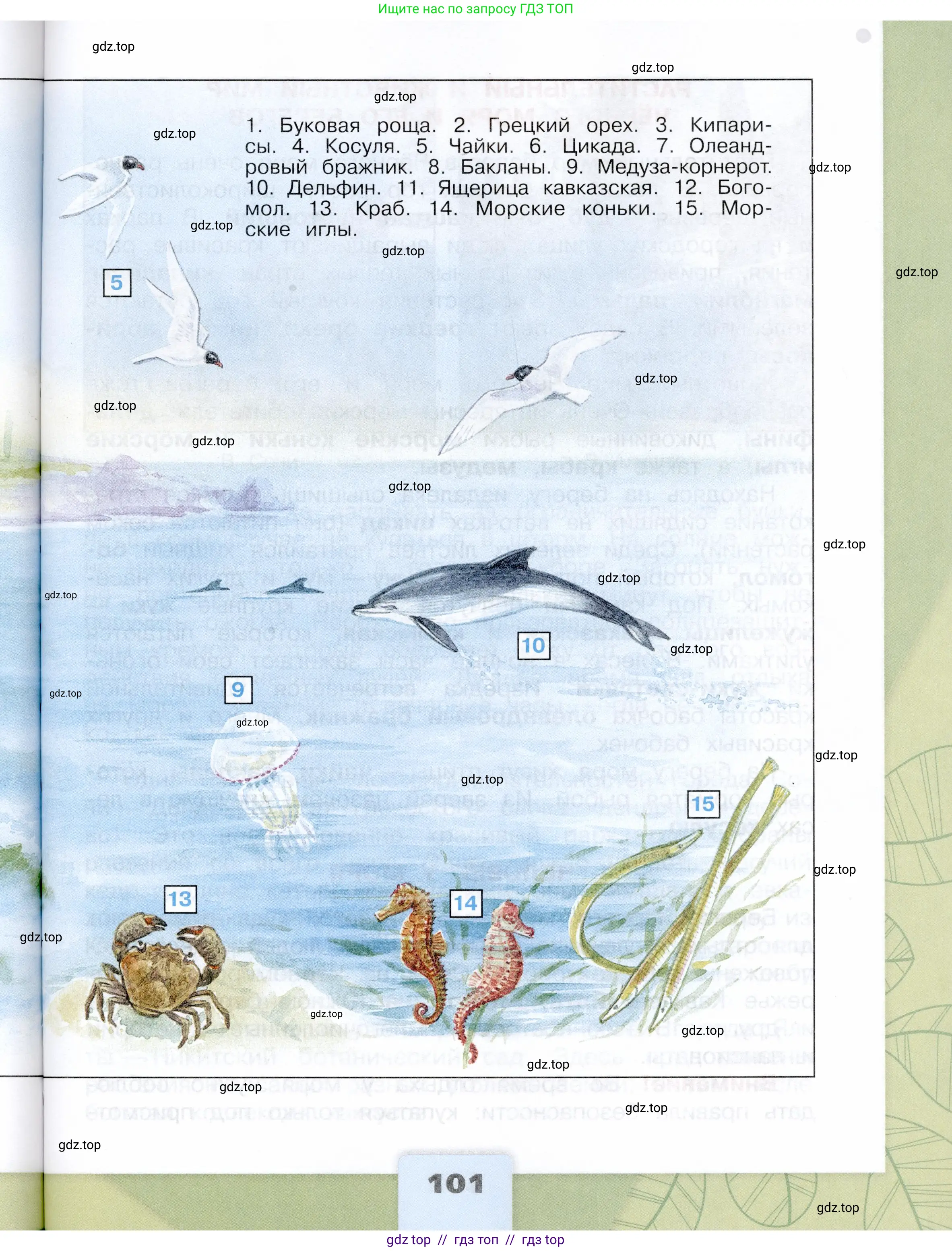 Окружающий мир, 4 класс Учебник, авторы: Плешаков Андрей Анатольевич, Крючкова Елена Алексеевна, издательство Просвещение, Москва, 2023, белого цвета, страница 101