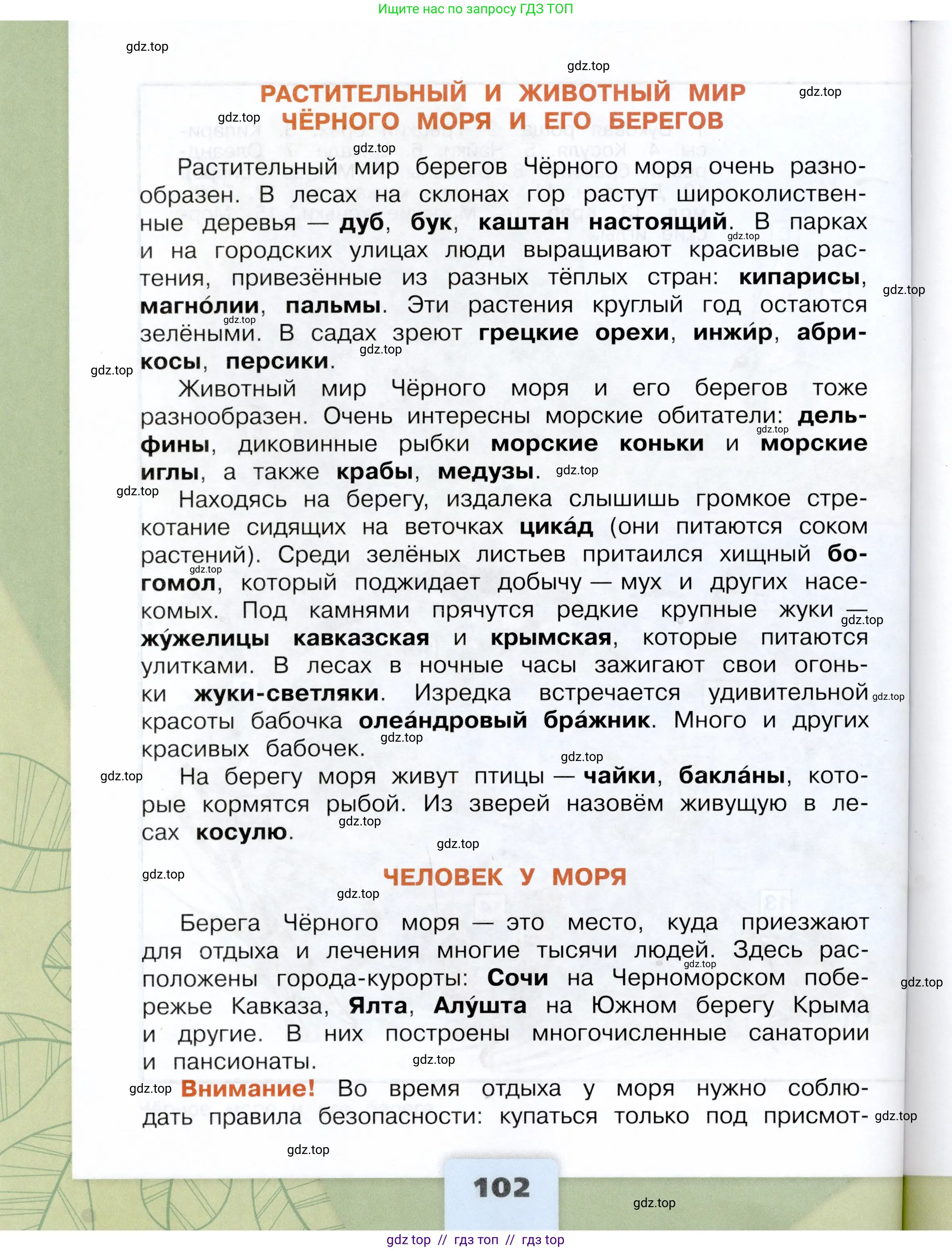 Окружающий мир, 4 класс Учебник, авторы: Плешаков Андрей Анатольевич, Крючкова Елена Алексеевна, издательство Просвещение, Москва, 2023, белого цвета, страница 102