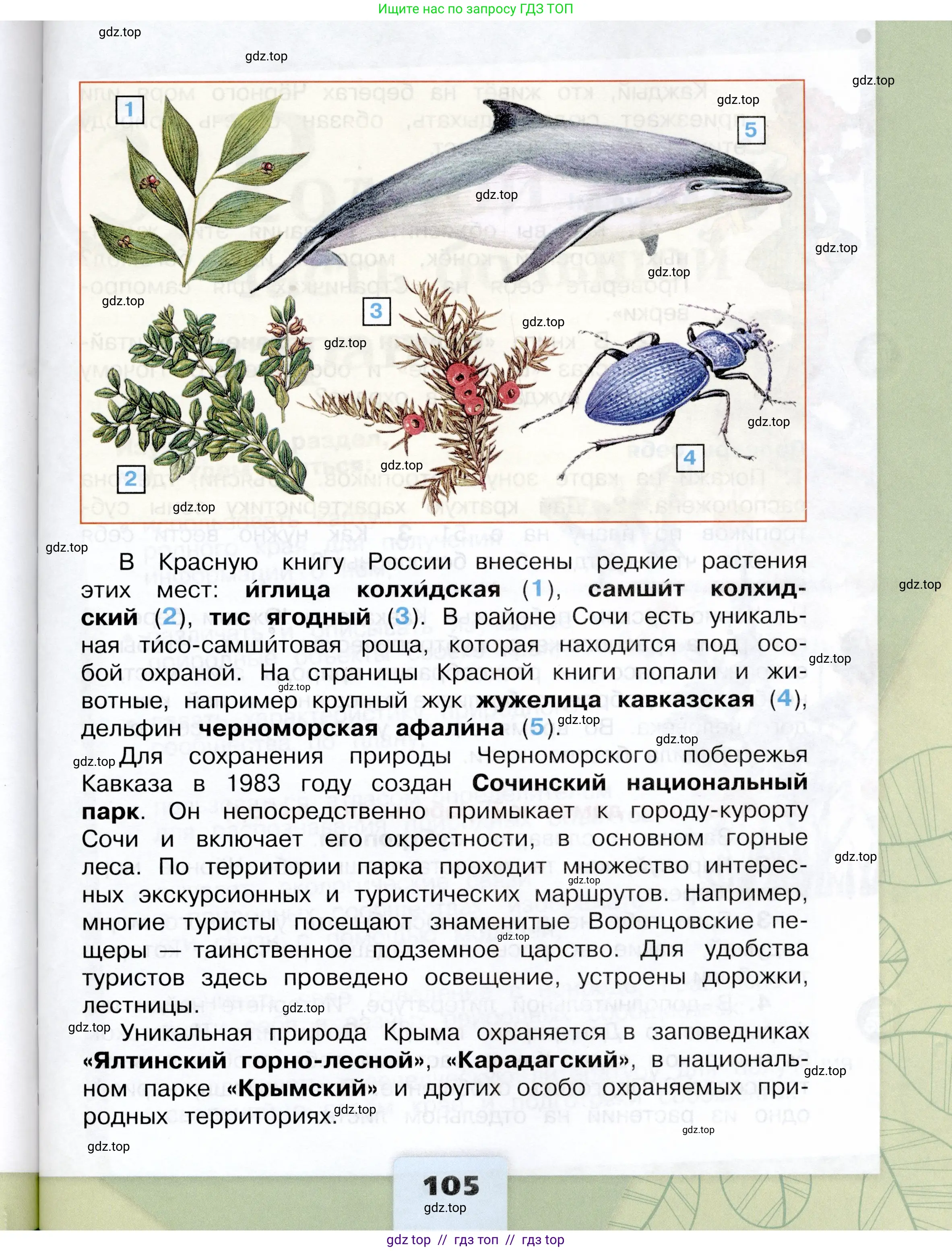 Окружающий мир, 4 класс Учебник, авторы: Плешаков Андрей Анатольевич, Крючкова Елена Алексеевна, издательство Просвещение, Москва, 2023, белого цвета, страница 105